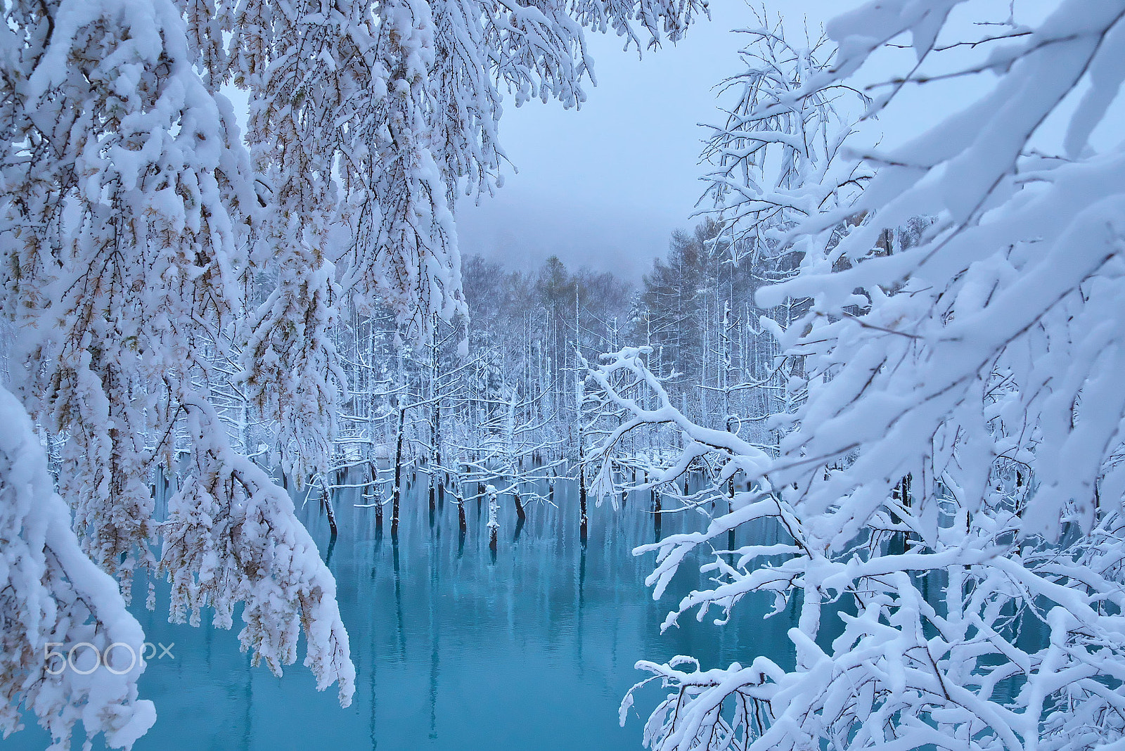 VR 24-105mm F/4.0 G sample photo. Blue pond in early winter photography