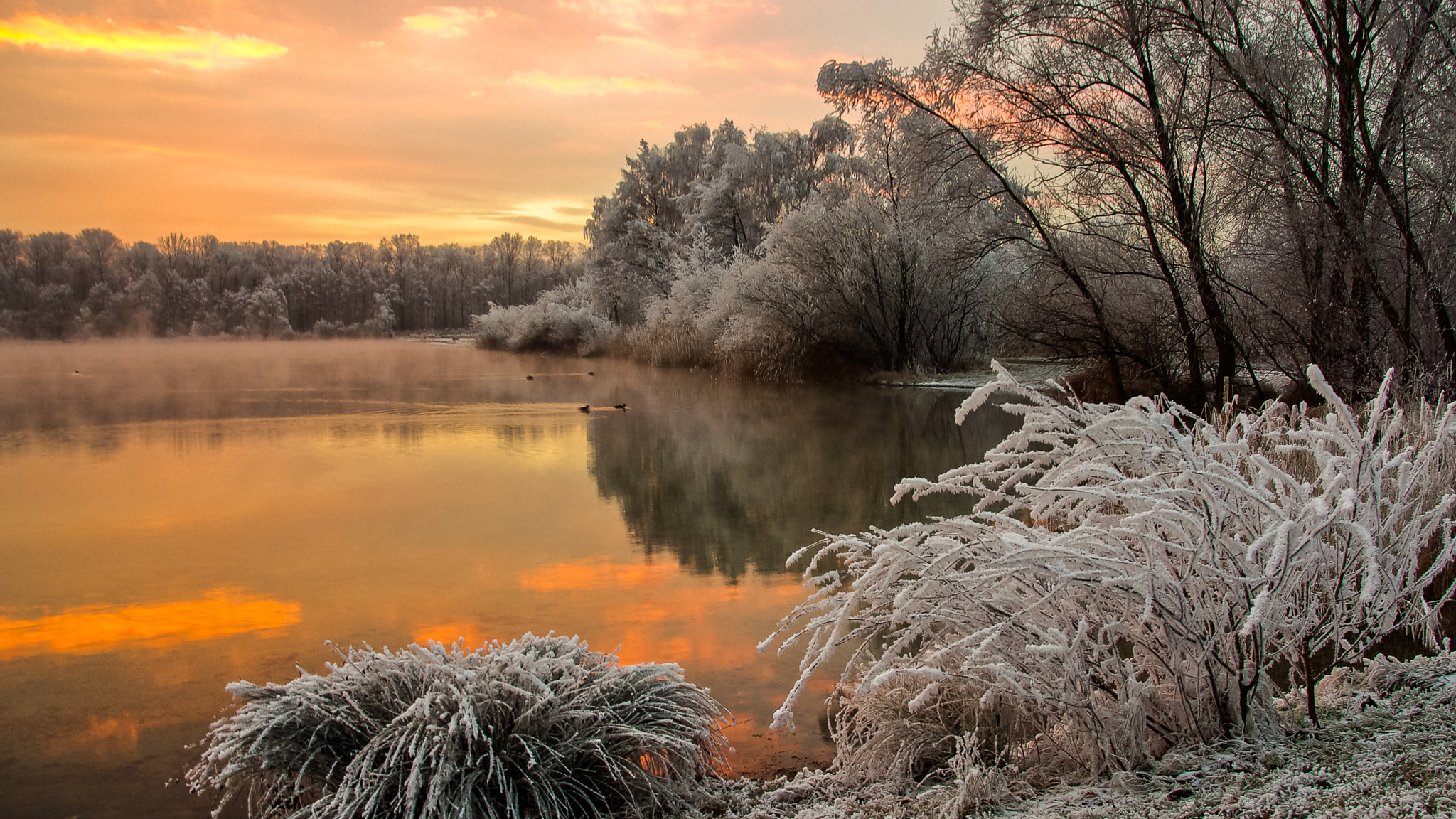 Pentax K10D sample photo. Winter magic photography