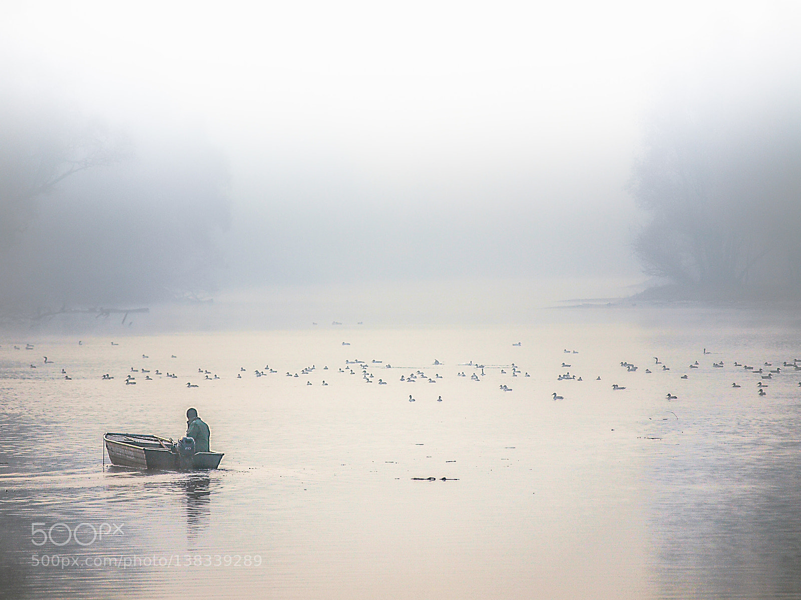 Olympus E-3 sample photo. In the mist photography