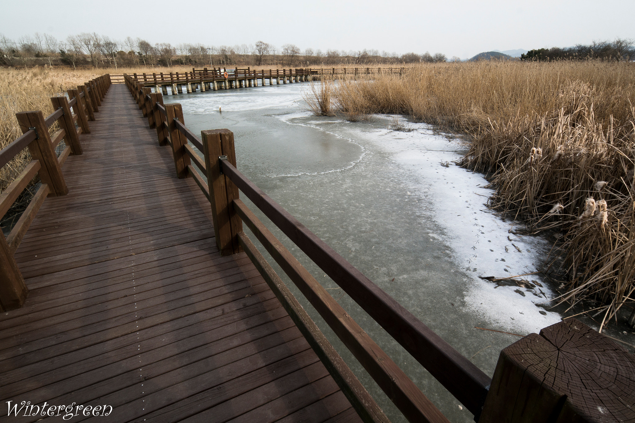 Samsung NX300M + Samsung NX 12-24mm F4-5.6 ED sample photo. Bridge over frozen wetland photography
