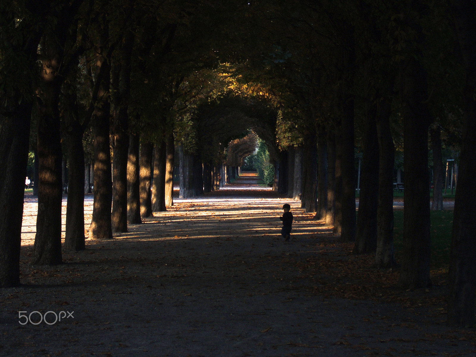 Fujifilm FinePix F11 sample photo. Augarten photography