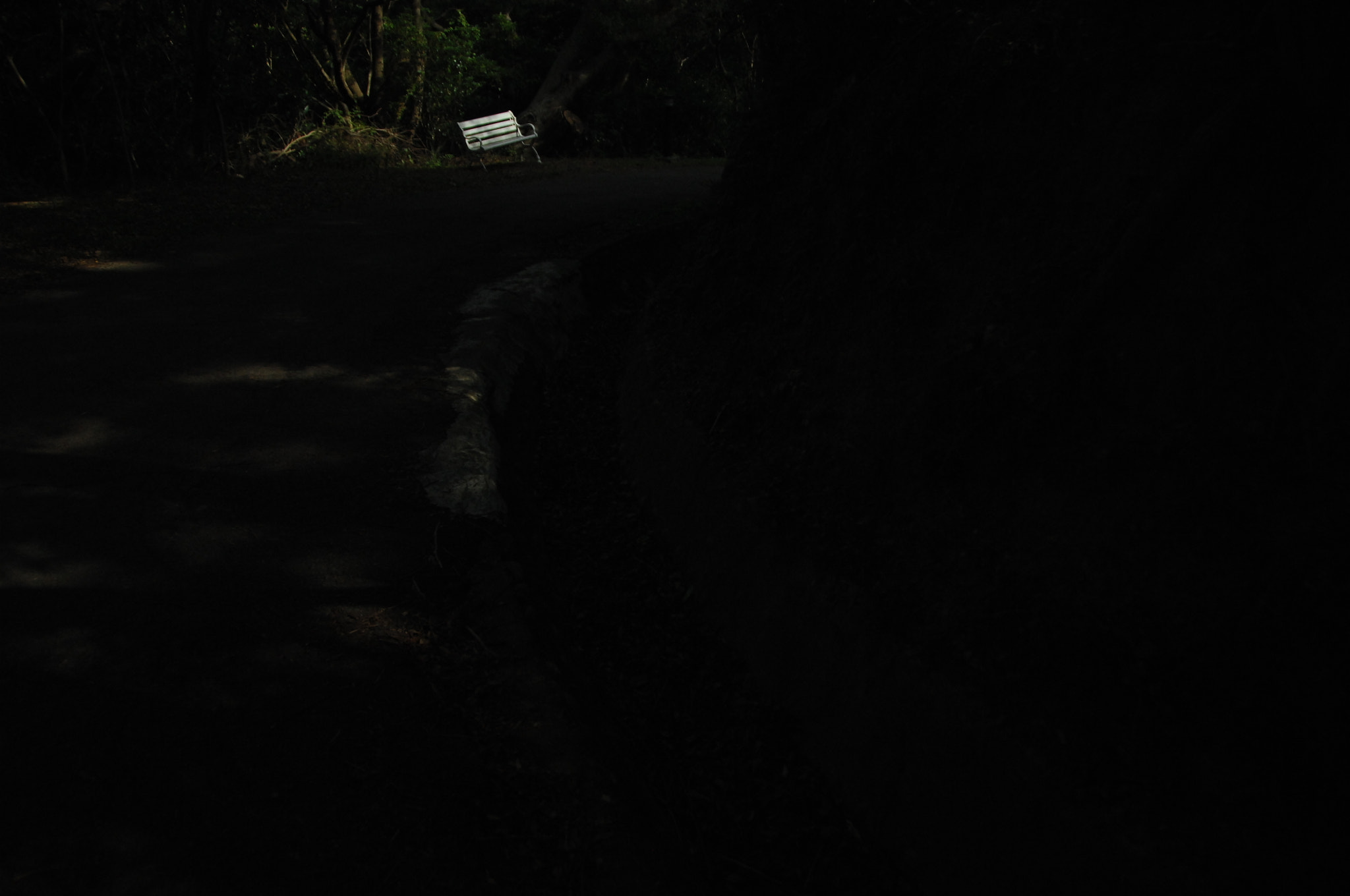 Nikon D2X sample photo. .. photography