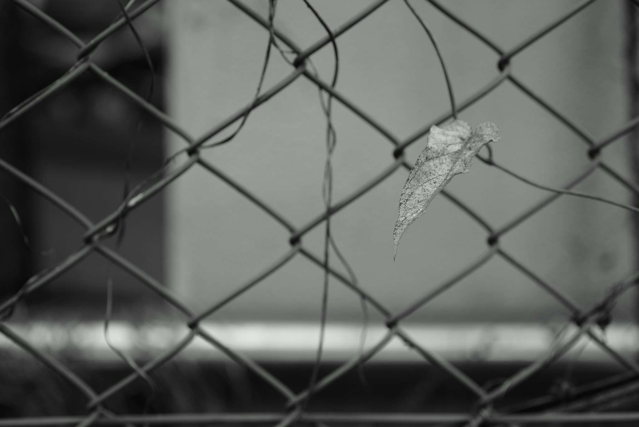 Sony a7S + Sony Sonnar T* FE 55mm F1.8 ZA sample photo. Desolate photography