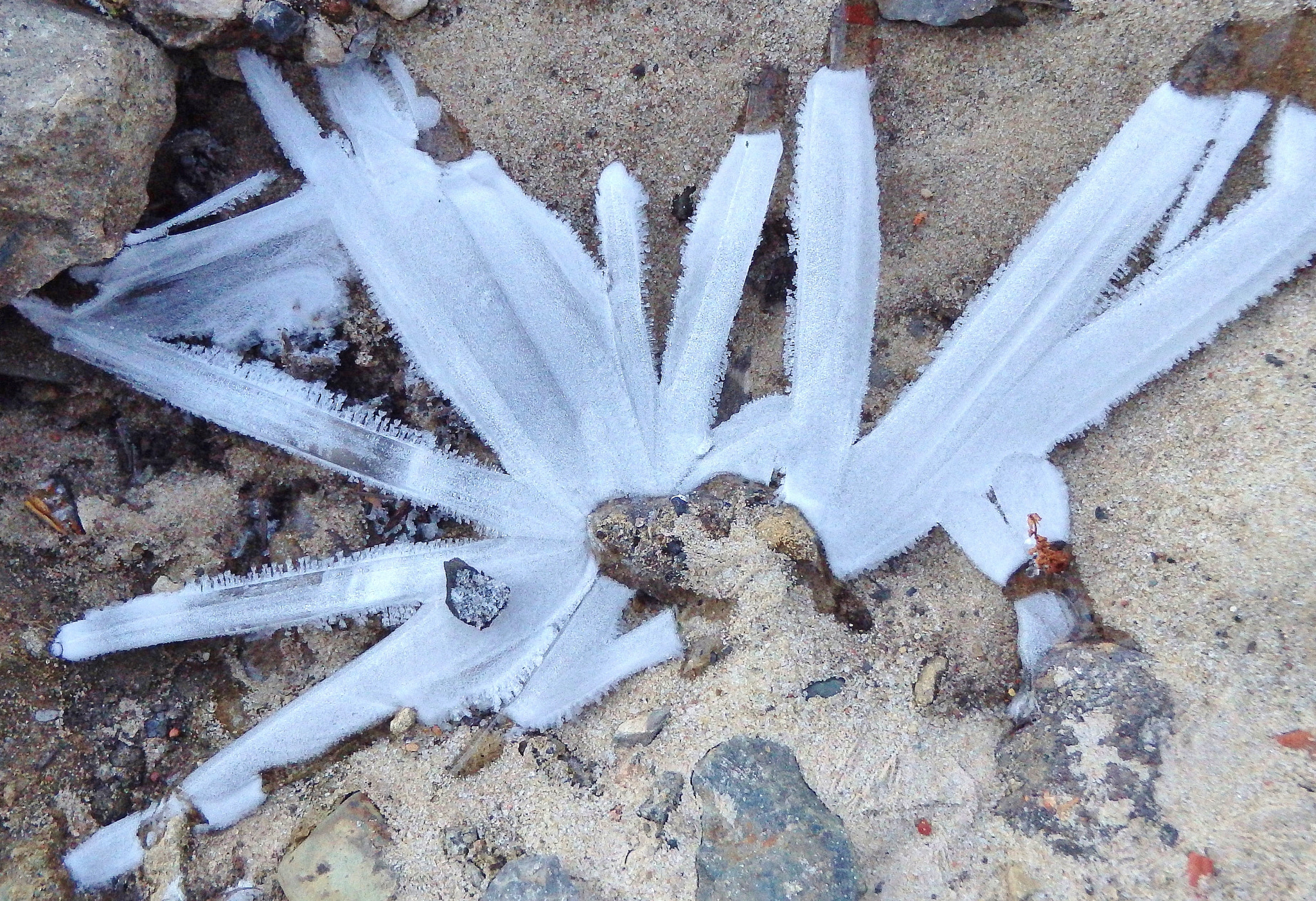 Olympus TG-830 sample photo. Couteaux de glace photography