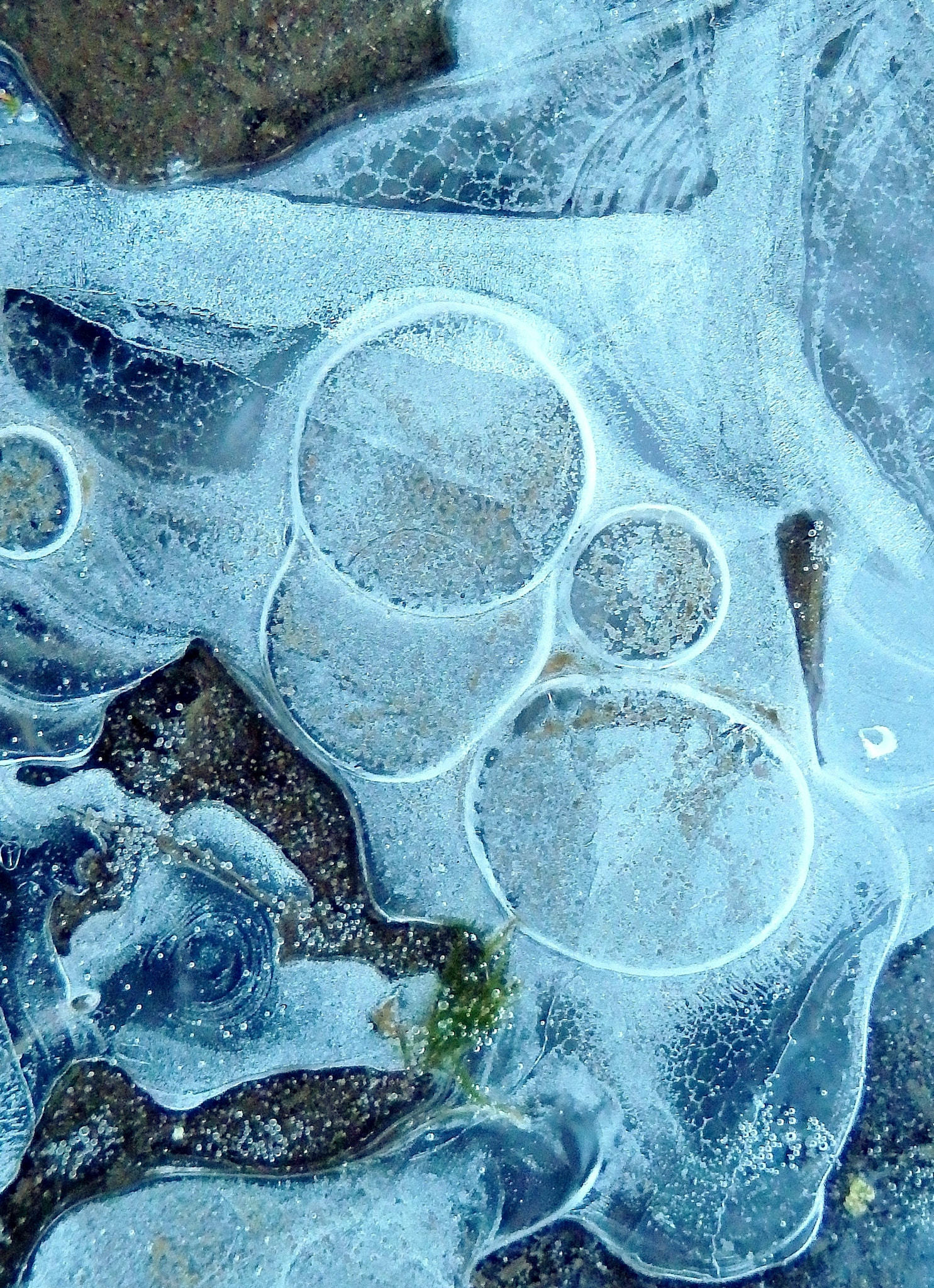 Olympus TG-830 sample photo. Dessins de glace photography
