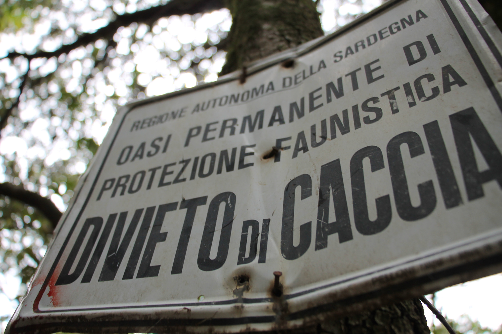 Canon EF-S 18-135mm F3.5-5.6 IS STM sample photo. Divieto di caccia photography