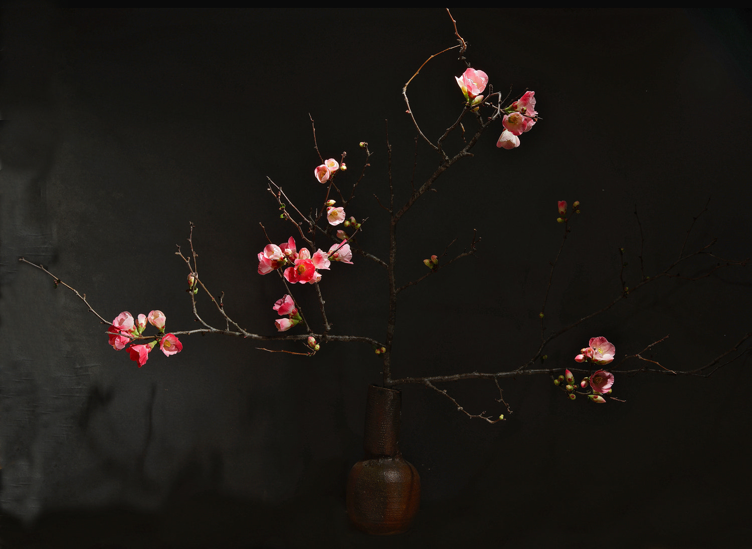 24-105mm F4 G SSM OSS sample photo. Wild quince in dec. photography