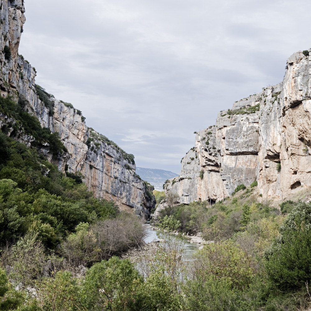 Canon EOS-1Ds Mark III + Canon EF 50mm F1.8 II sample photo. Foz de lumbier, navarra photography