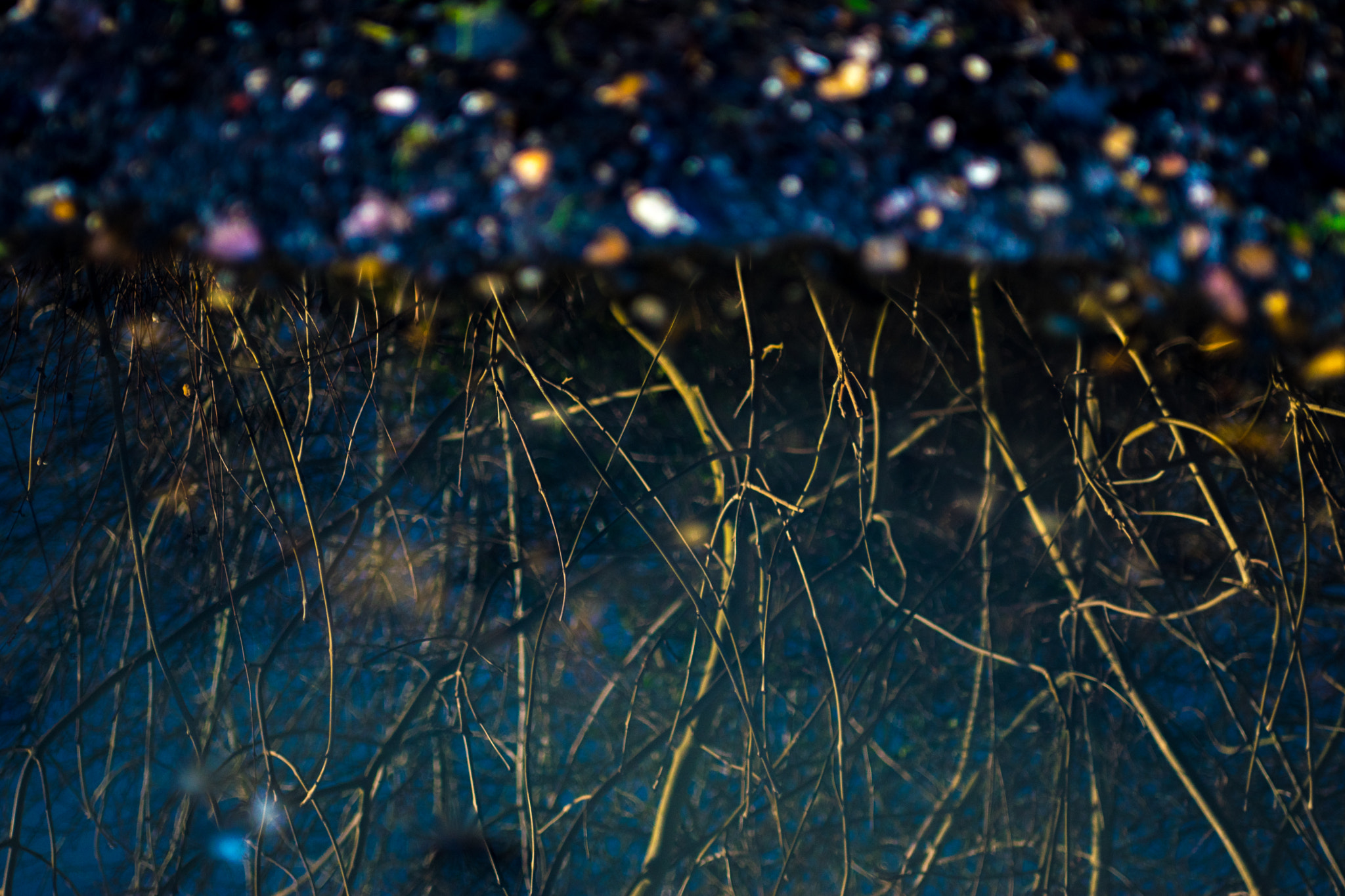 AF Zoom-Nikkor 35-70mm f/2.8 sample photo. Reflections photography