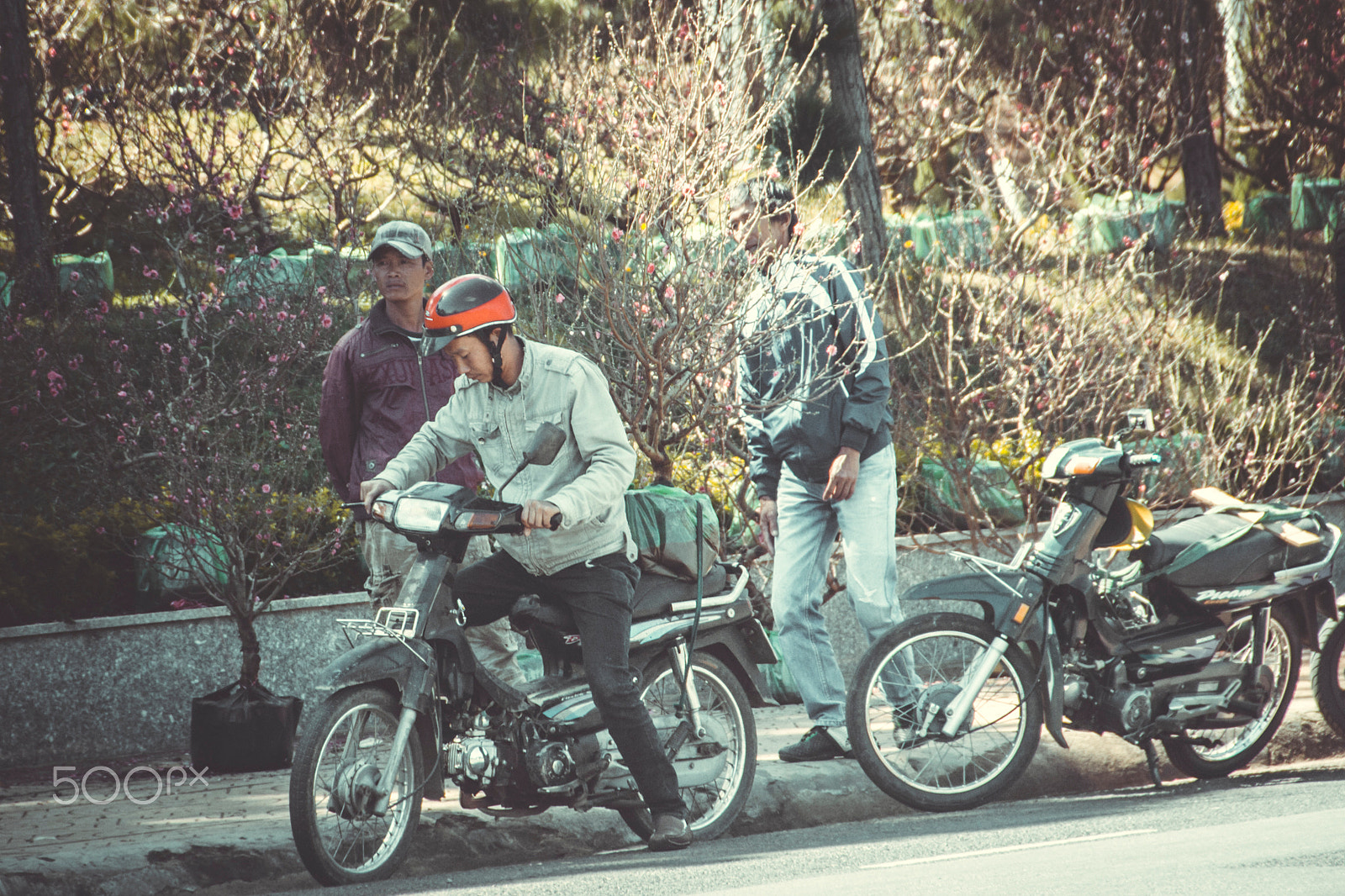 Canon EOS 600D (Rebel EOS T3i / EOS Kiss X5) sample photo. Tet viet - xuan viet nam photography