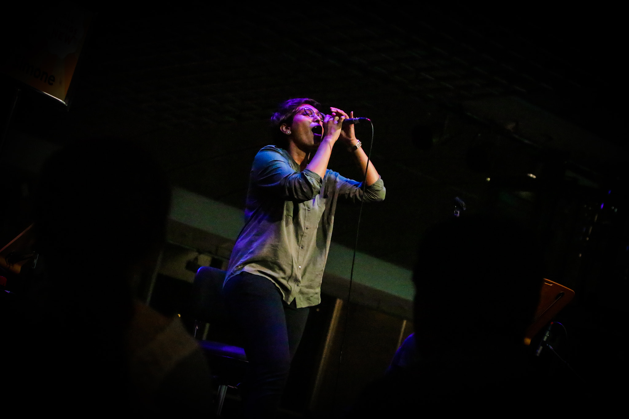 Canon EF 70-300mm F4-5.6L IS USM sample photo. Singers and symphonies 1 photography