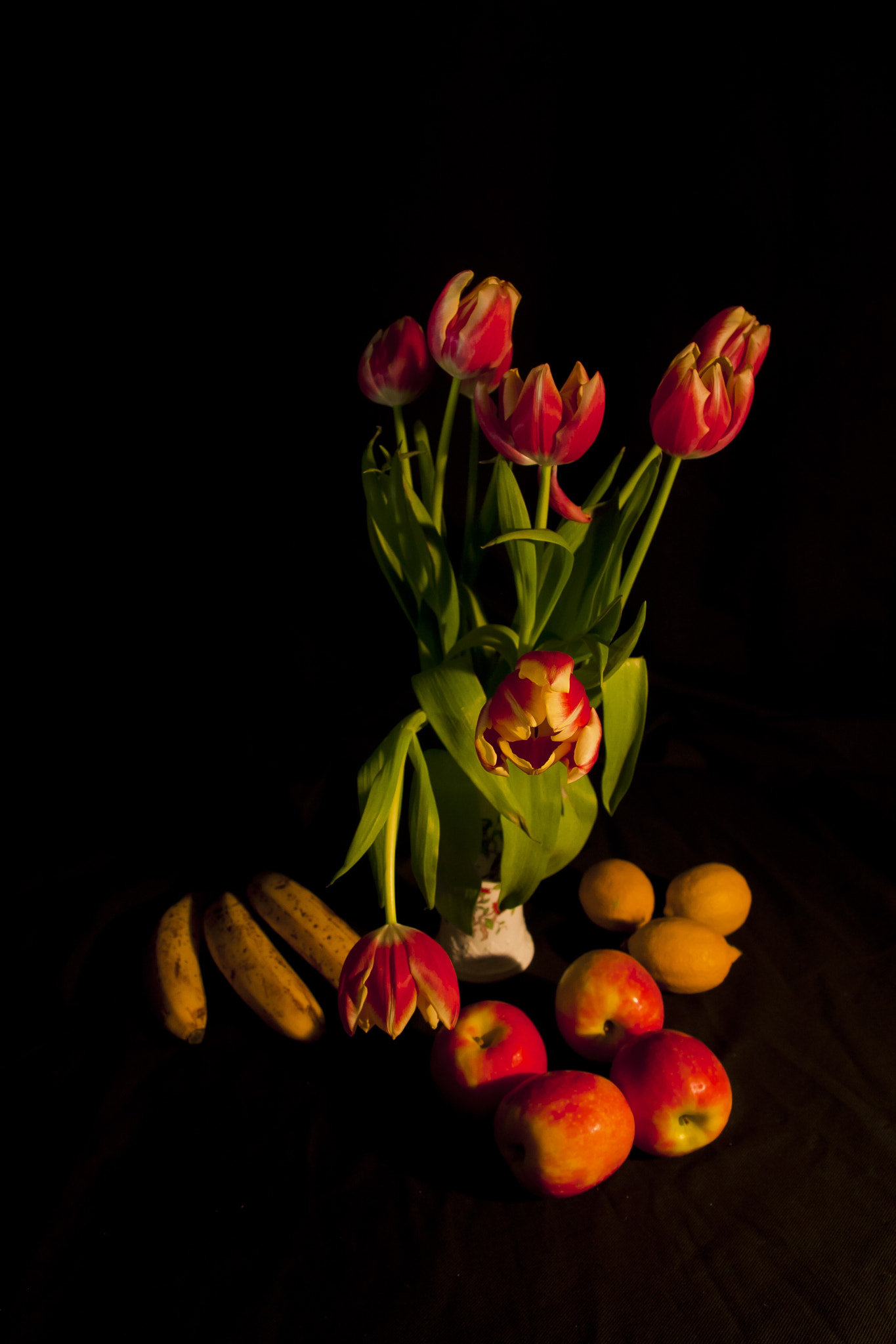 Canon EOS 40D + Canon TS-E 90mm F2.8 Tilt-Shift sample photo. A winter arrangement photography