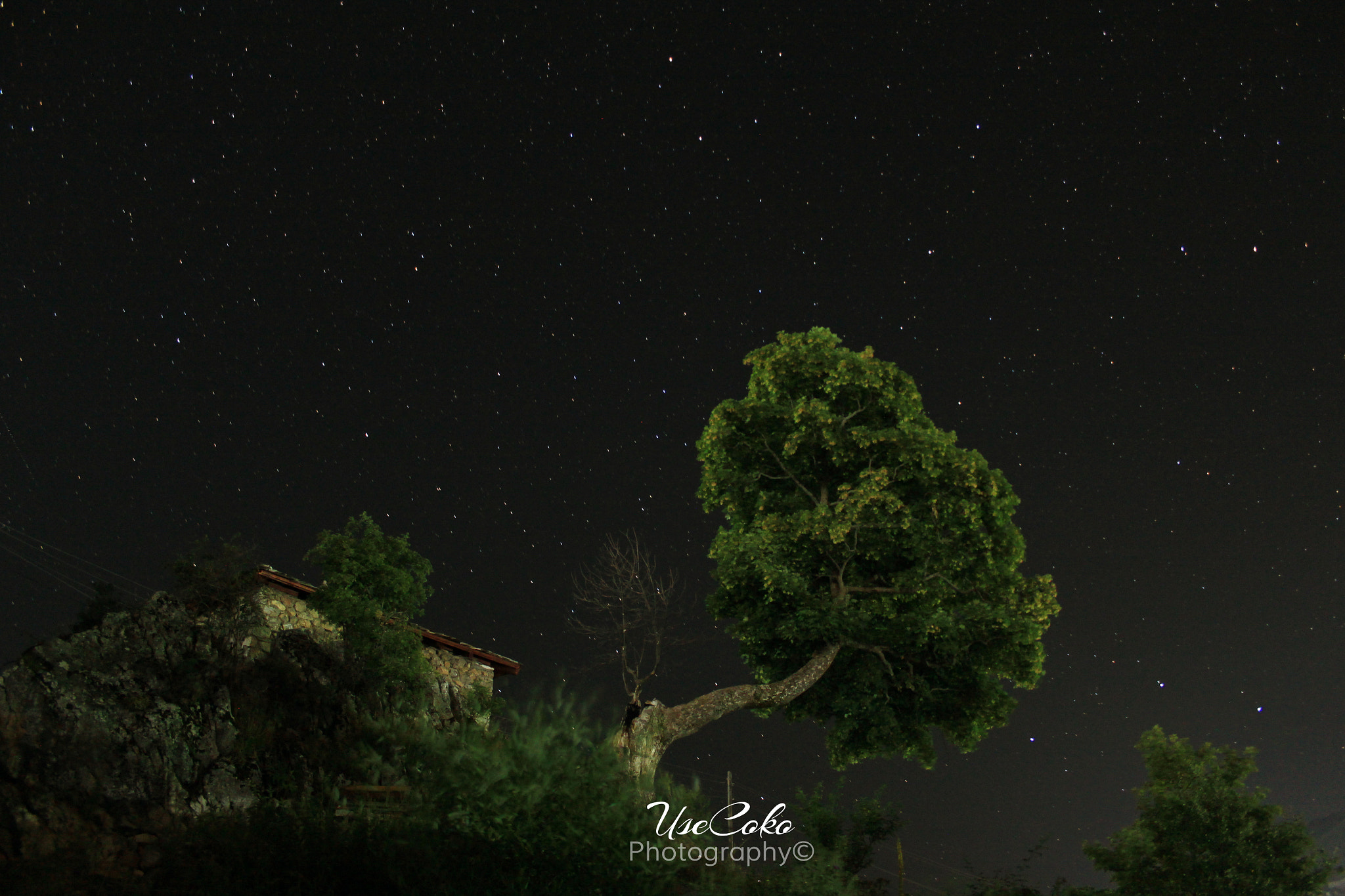 Canon EF-S 18-55mm F3.5-5.6 sample photo. Starry night photography