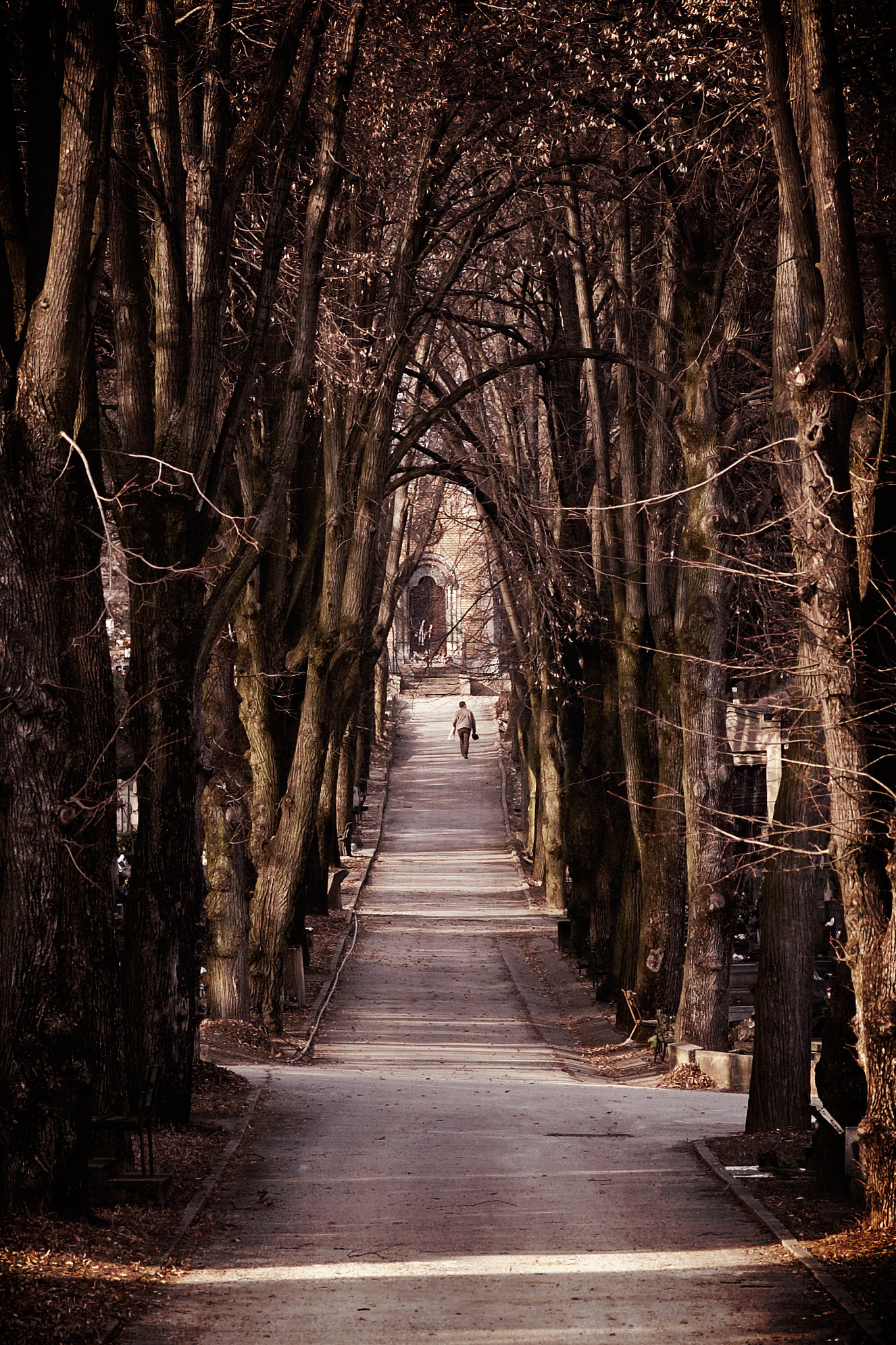 Nikon D40 sample photo. Alley photography