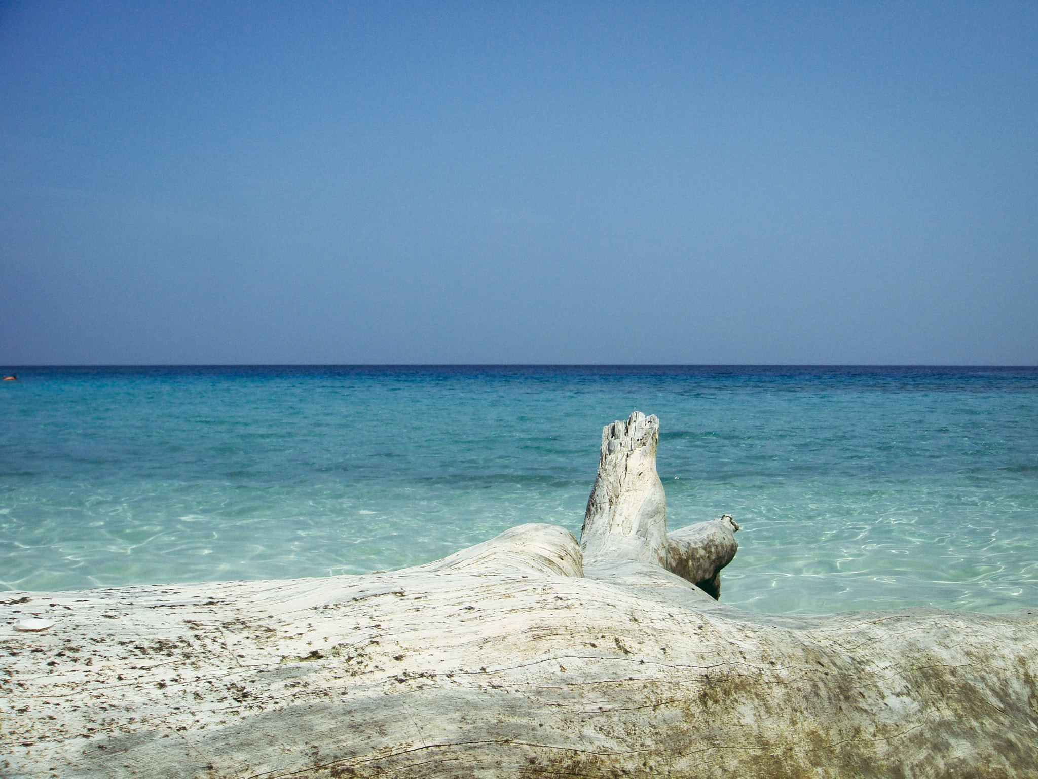 Sony DSC-T77 sample photo. Elephant beach - andaman islands photography