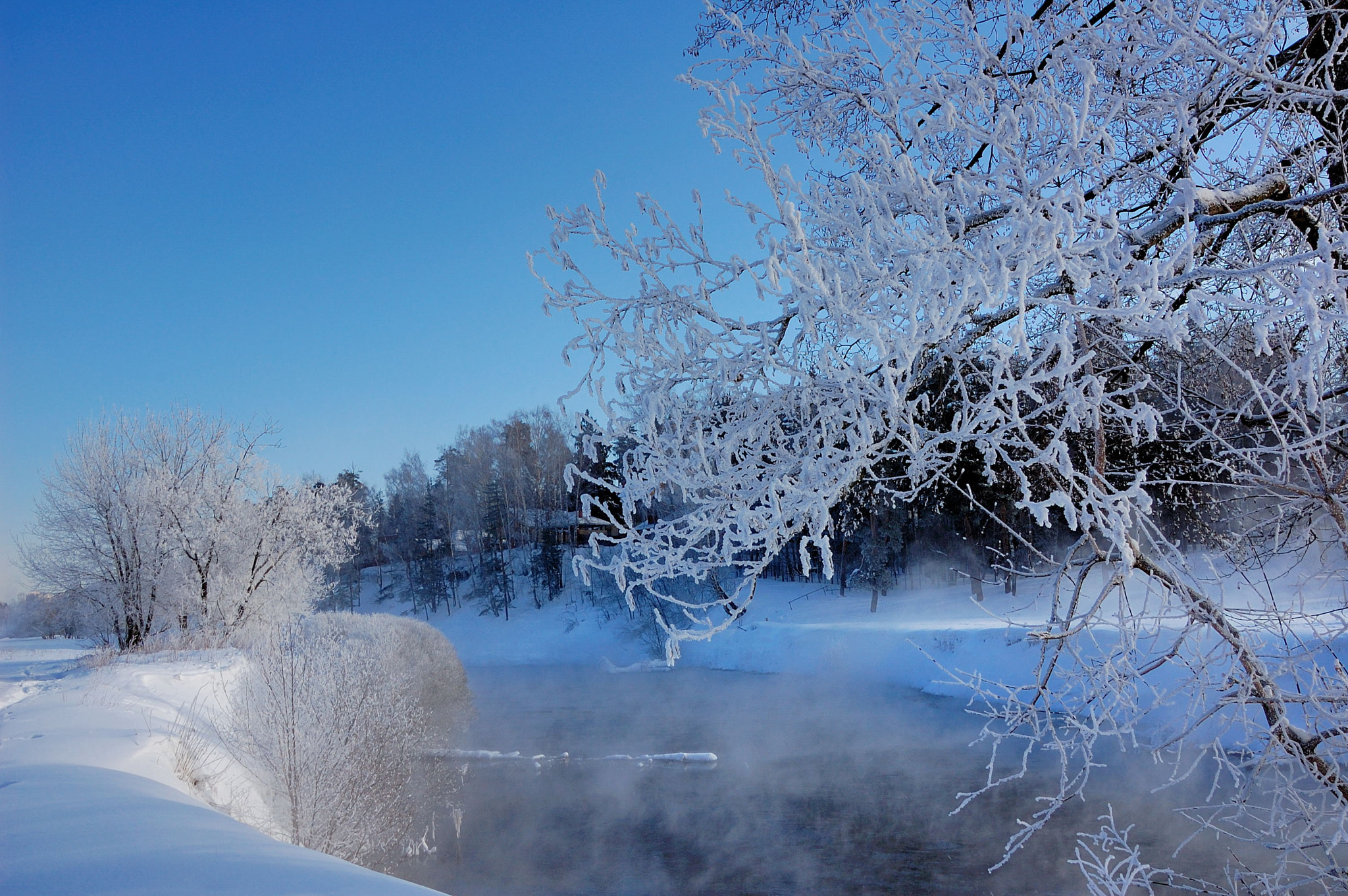 Nikon D40 + Sigma 18-50mm F2.8 EX DC Macro sample photo. Beautiful winter photography