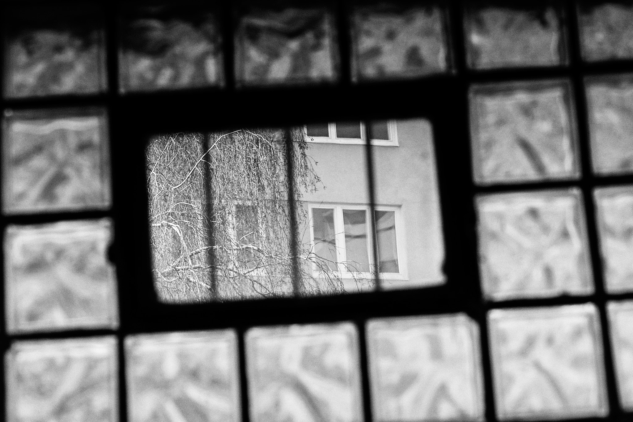 Nikon D40 + Nikon AF Nikkor 50mm F1.8D sample photo. Windows photography