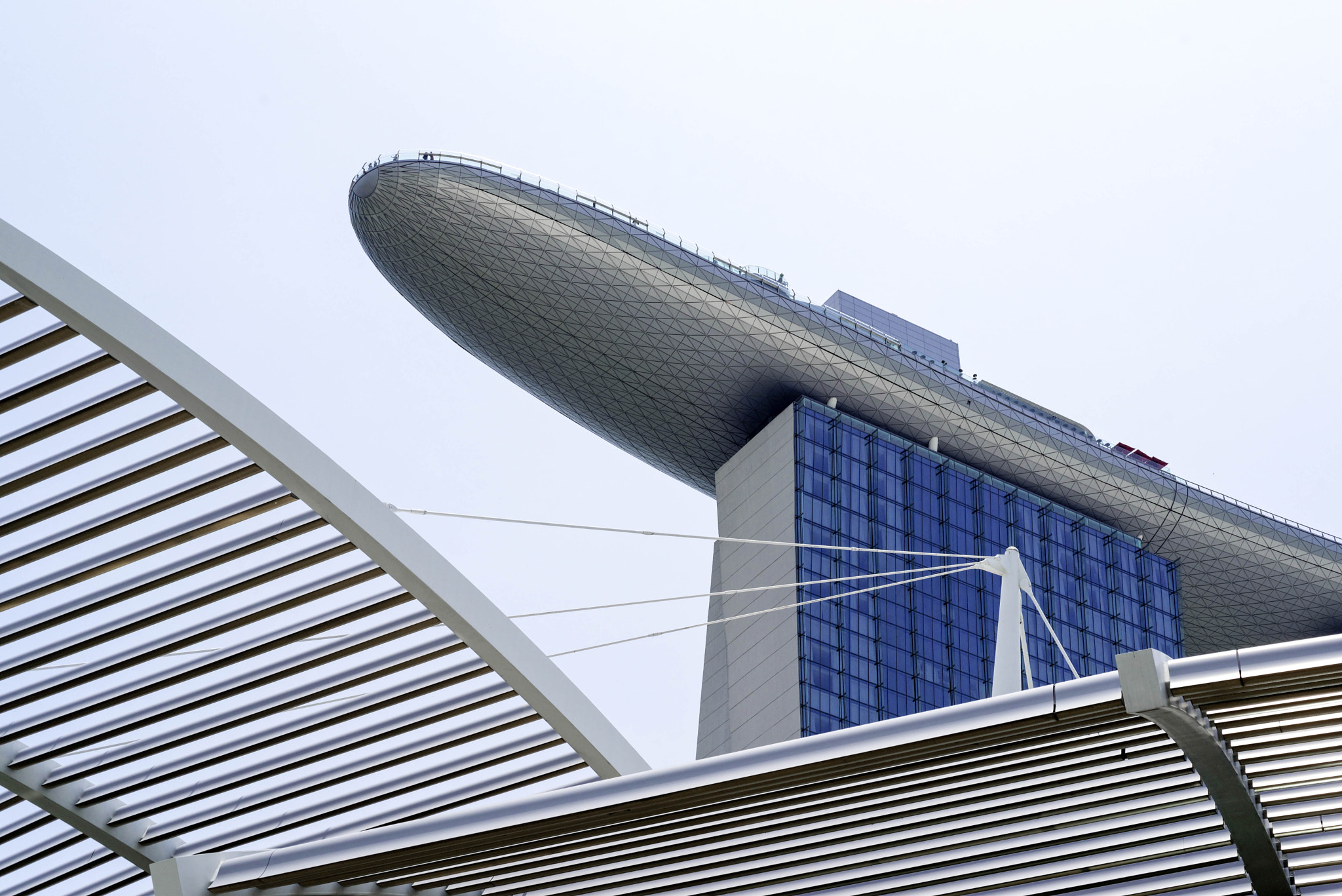 Nikon D750 + AF Micro-Nikkor 60mm f/2.8 sample photo. Singapore photography
