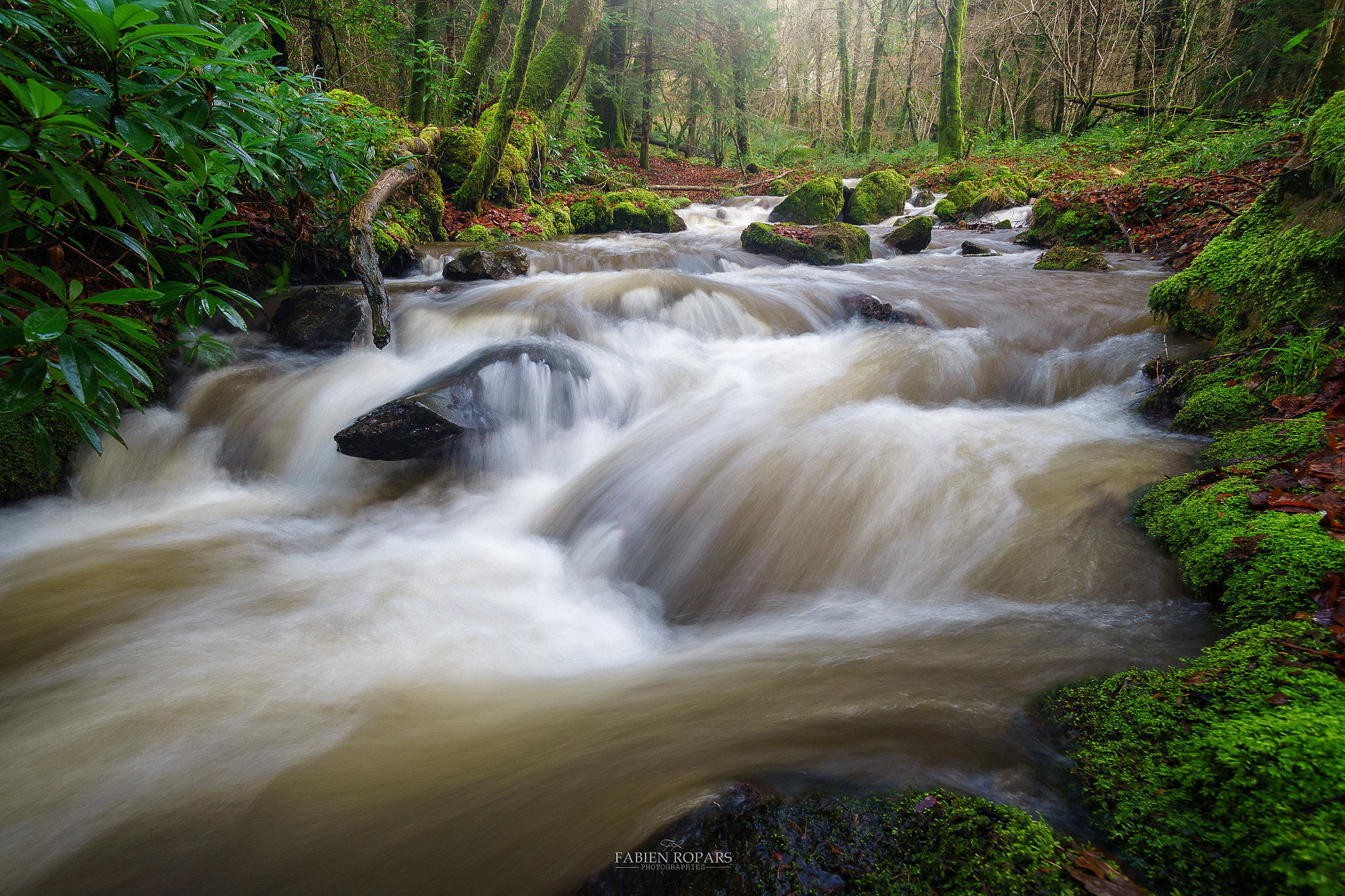 Sony a7 + Tamron SP 24-70mm F2.8 Di VC USD sample photo. Rivière de saint goazec photography