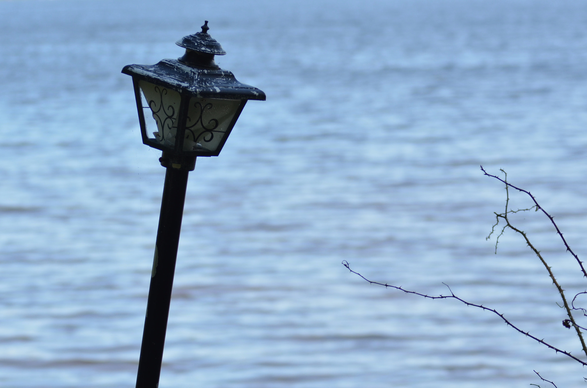 Sigma 70-200mm F2.8 EX DG OS HSM sample photo. A light by the lake photography