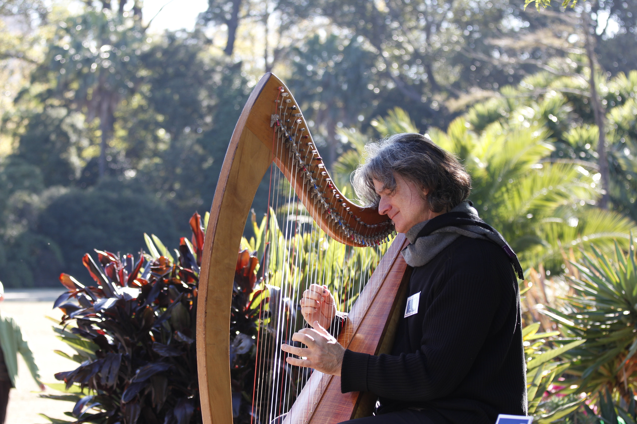 Canon EOS 550D (EOS Rebel T2i / EOS Kiss X4) sample photo. Prasanthadeva botonicalgarden melbourne australia photography