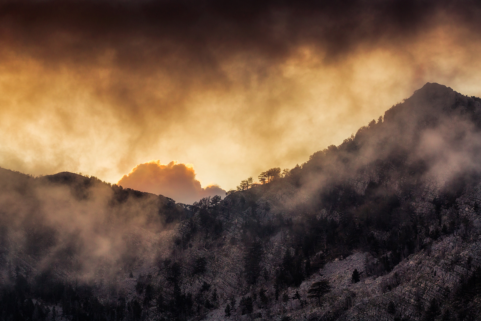 Canon EOS 6D + Canon EF 100mm F2.8 Macro USM sample photo. Late evening mt orjen photography