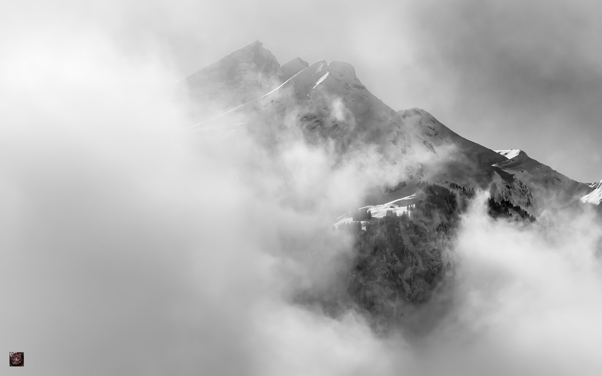 Leica M9 + Leica APO-Summicron-M 90mm F2 ASPH sample photo. Winter: a gentle hint of mountains photography