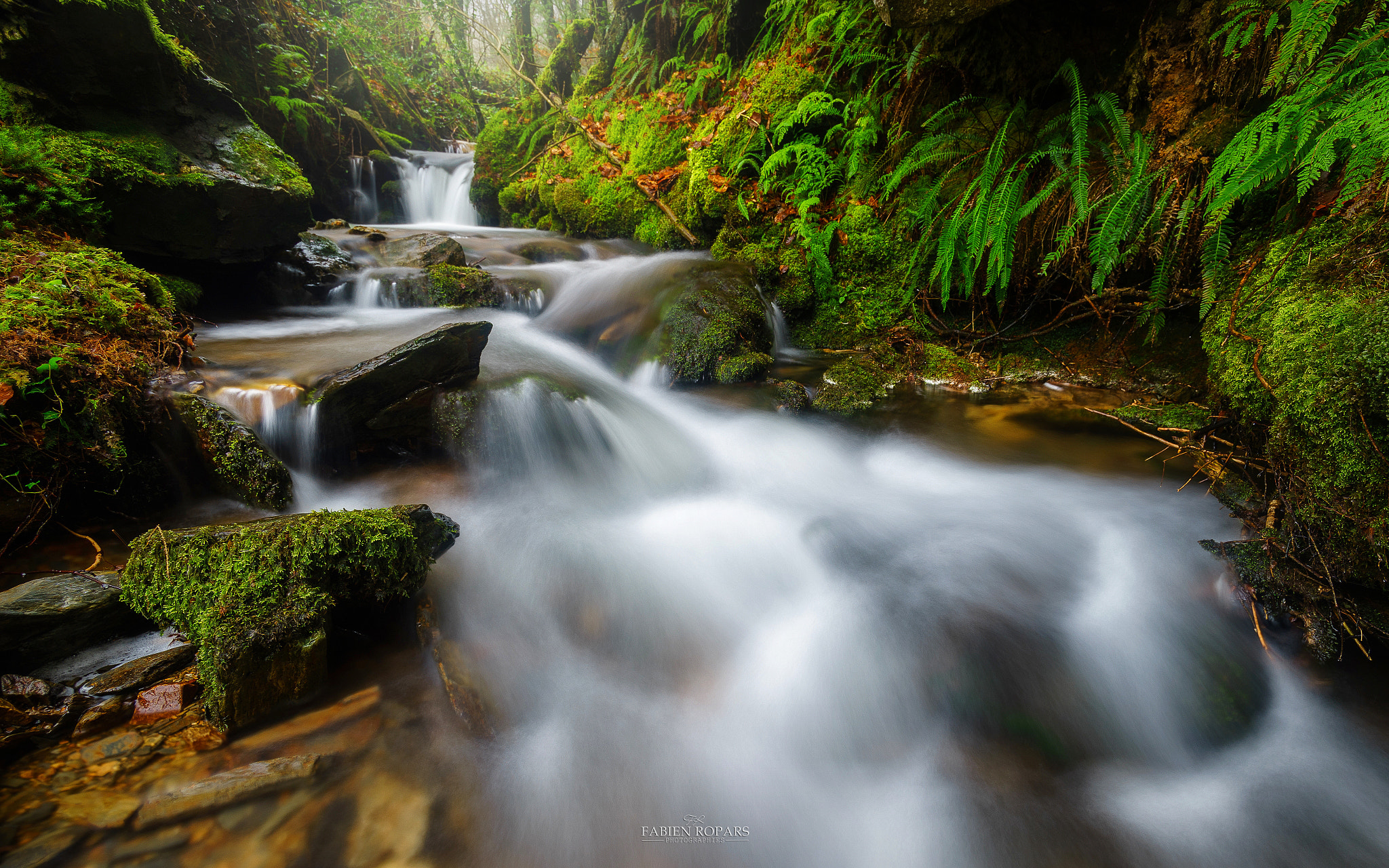 Sony a7 + Tamron SP 24-70mm F2.8 Di VC USD sample photo. Gorge du rhun photography