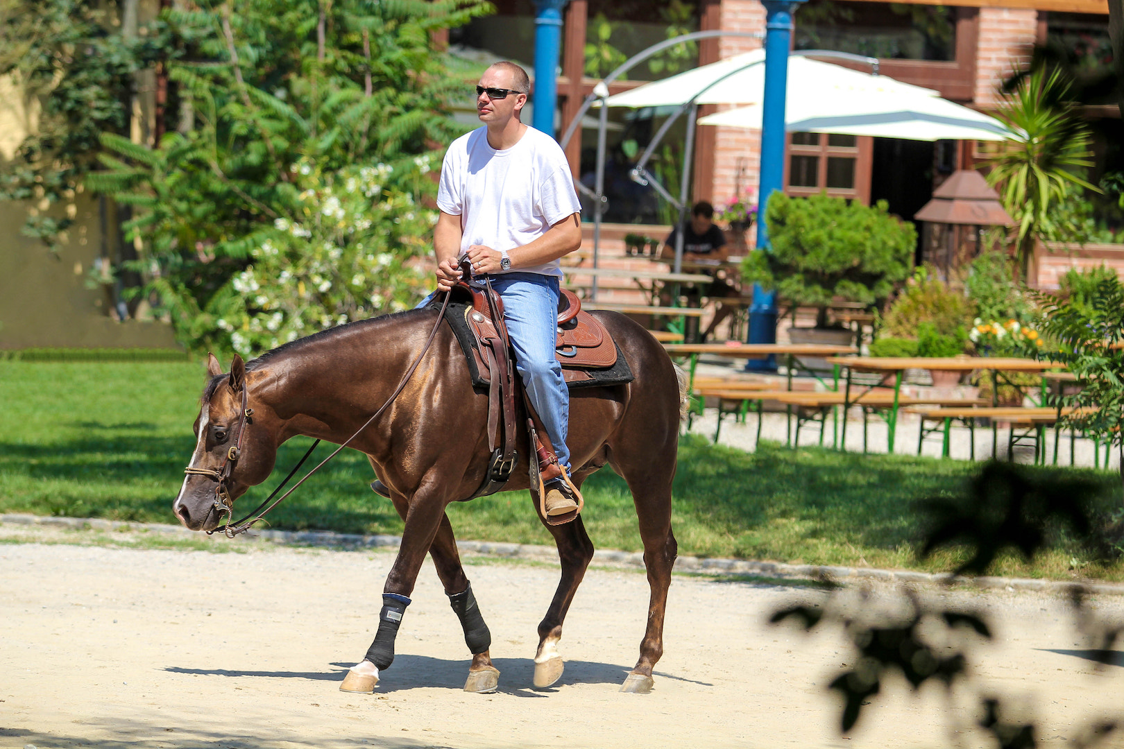 Canon EF 70-200mm F2.8L USM sample photo. Rudi kronsteiner going to warm up pen photography