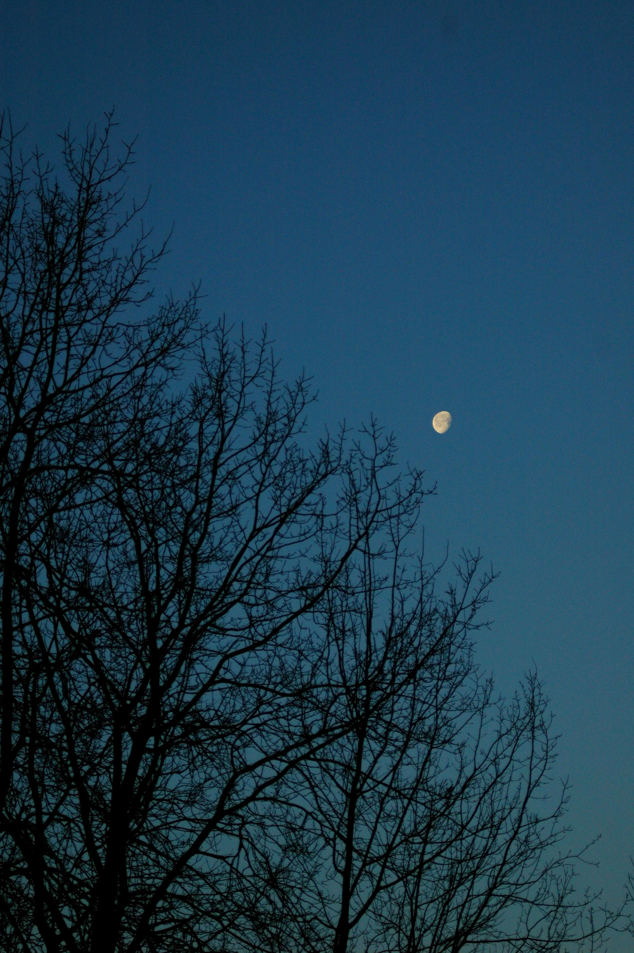 AF Zoom-Nikkor 35-70mm f/3.3-4.5 sample photo. Morning  photography