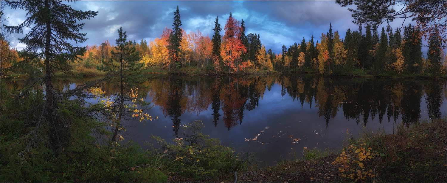 Sony a99 II + Minolta AF 17-35mm F2.8-4 (D) sample photo. Autumn forest photography