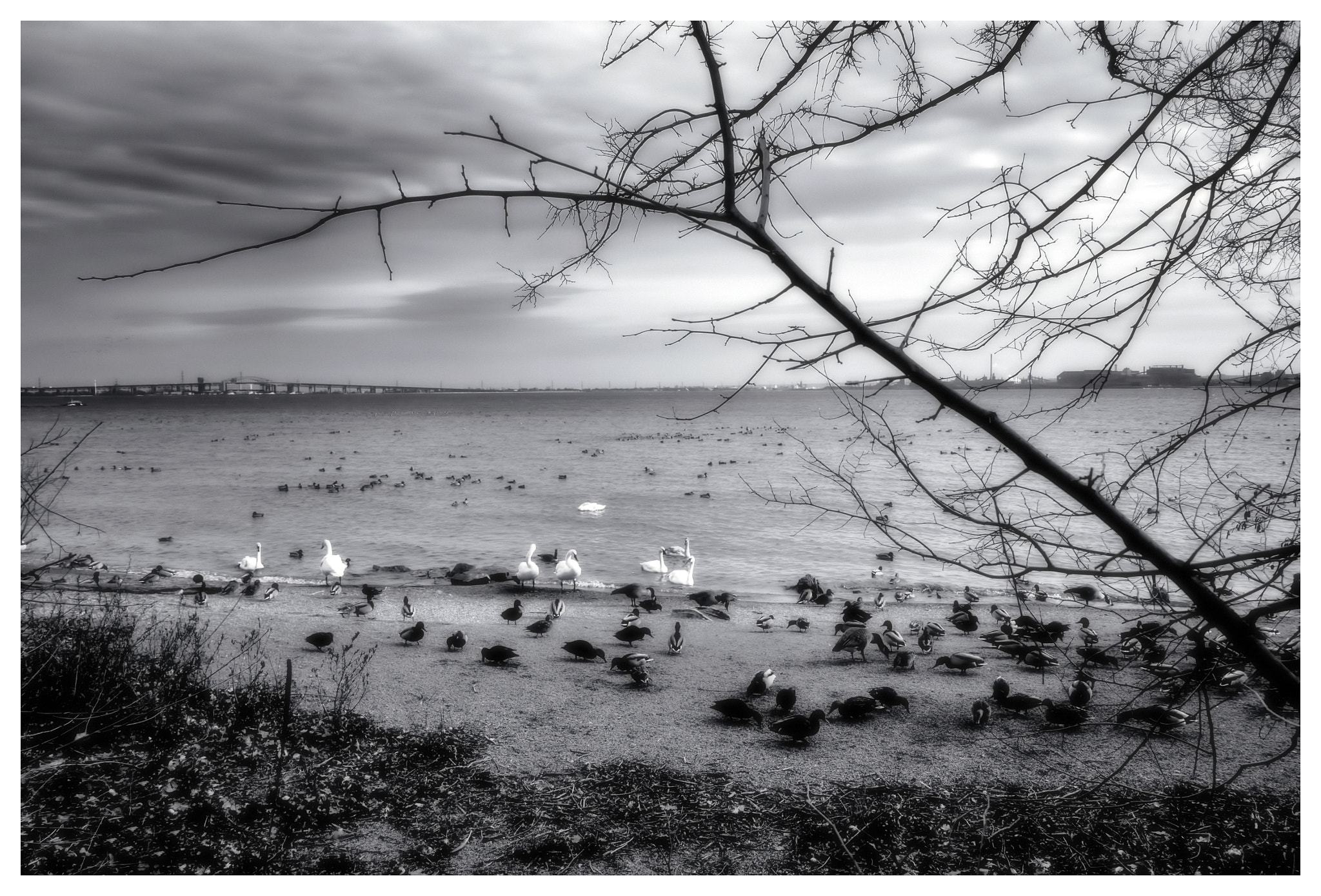 Panasonic Lumix DMC-GX1 sample photo. Le salle park & marina photography