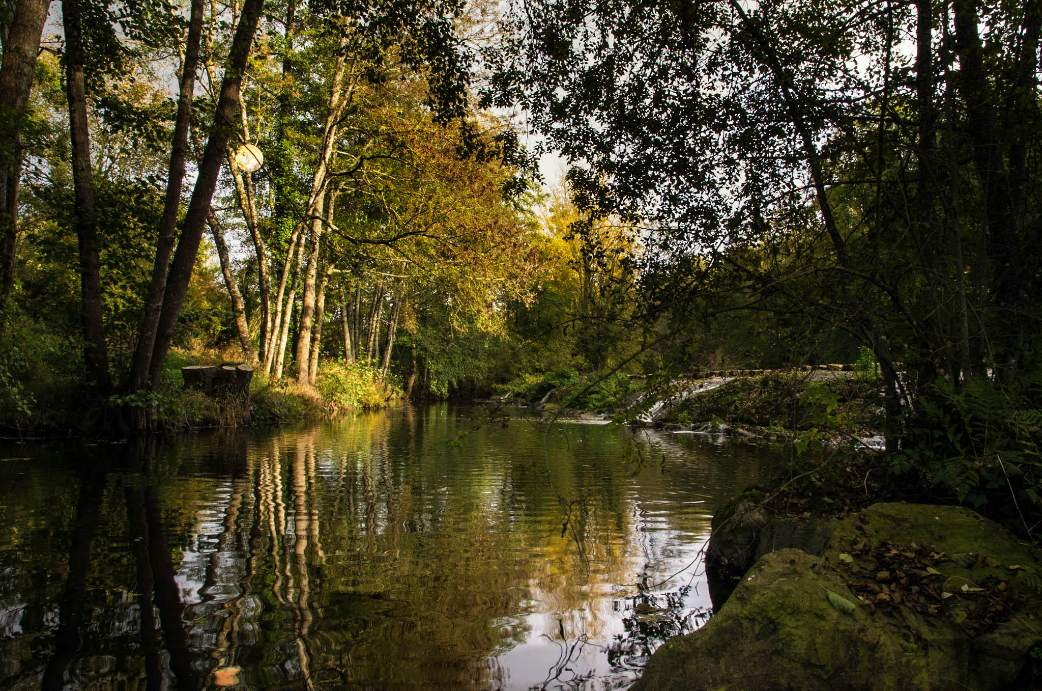 Pentax K-5 + Sigma 17-70mm F2.8-4 DC Macro HSM Contemporary sample photo. St georges montaigu photography