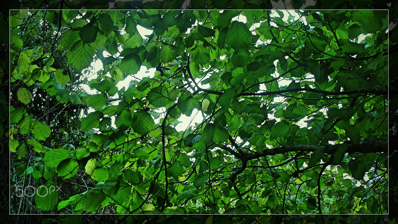 Olympus u760,S760 sample photo. Sintra 2015 photography