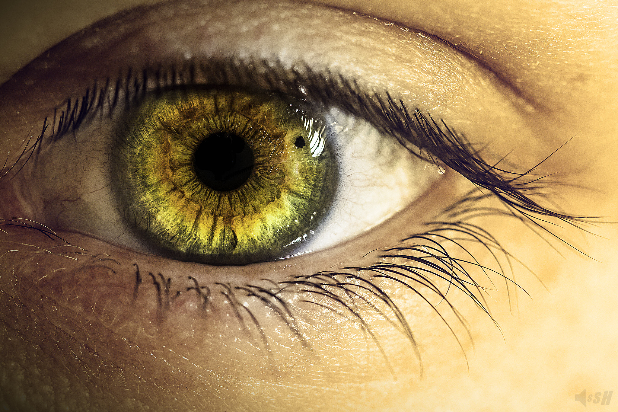 Canon EOS 7D + Canon EF 100mm F2.8 Macro USM sample photo. Universeye photography