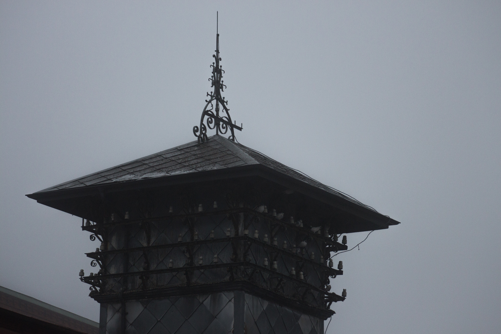 Tamron SP 35mm F1.8 Di VC USD sample photo. Birdhouse photography