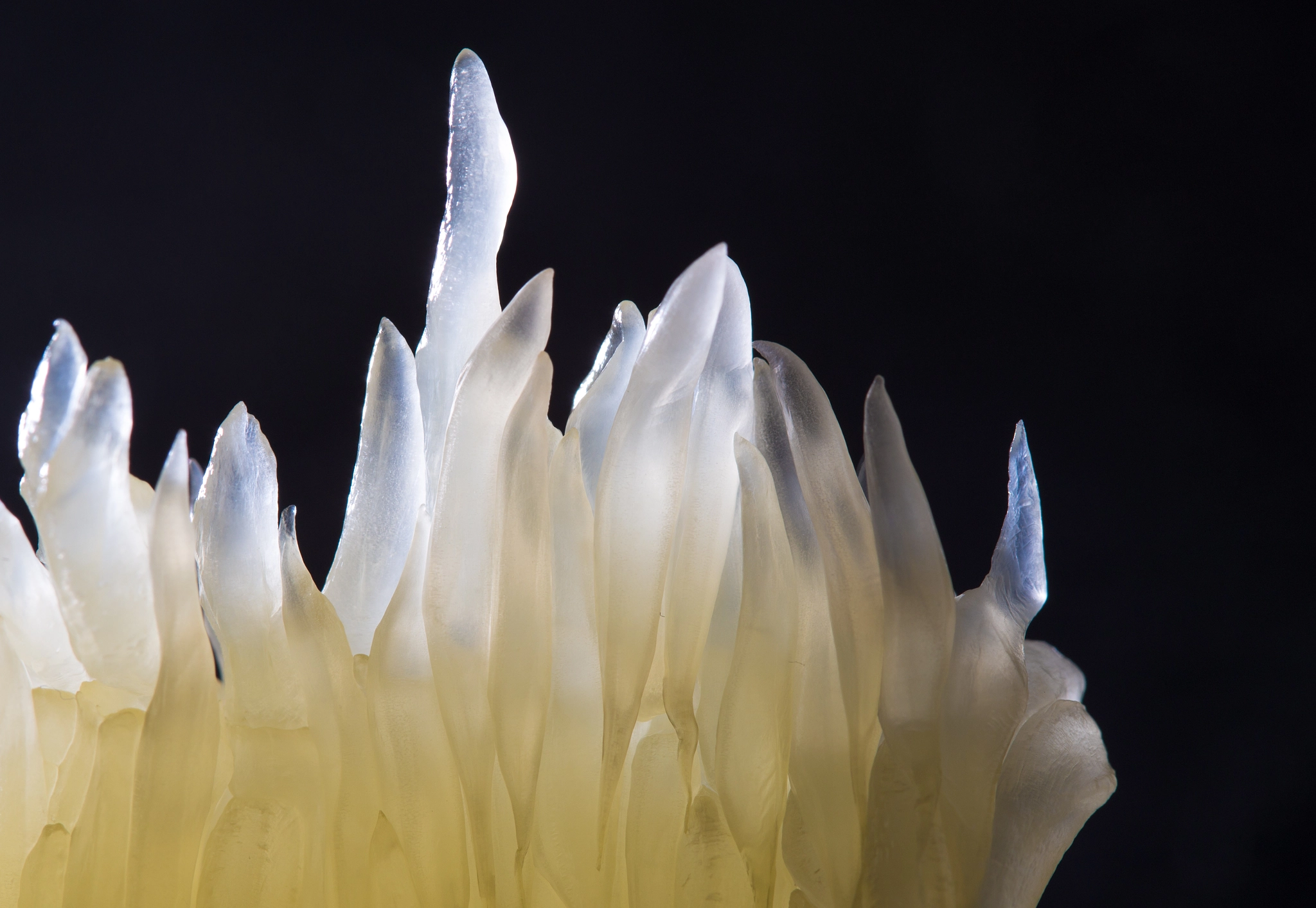 Canon EOS 6D + Canon EF 100mm F2.8 Macro USM sample photo. Little crystals photography