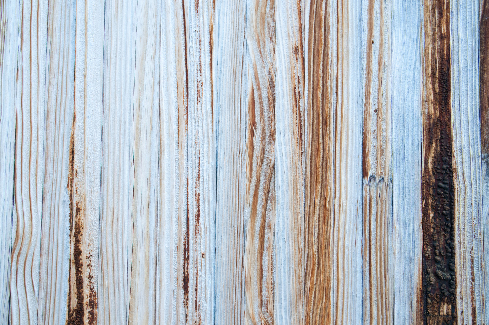 Sigma 17-70mm F2.8-4 DC Macro OS HSM | C sample photo. Wooden background photography