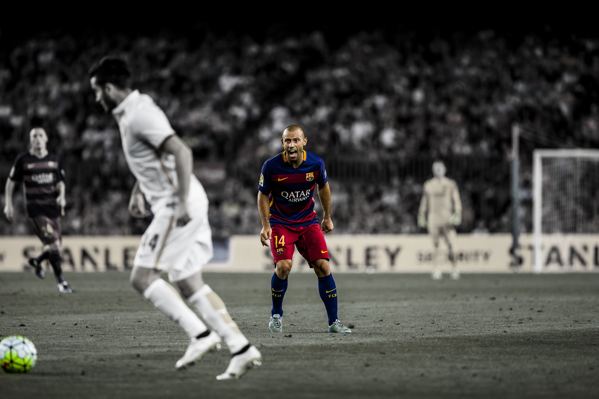 Canon EF 300mm F2.8L IS II USM sample photo. Secret captain photography