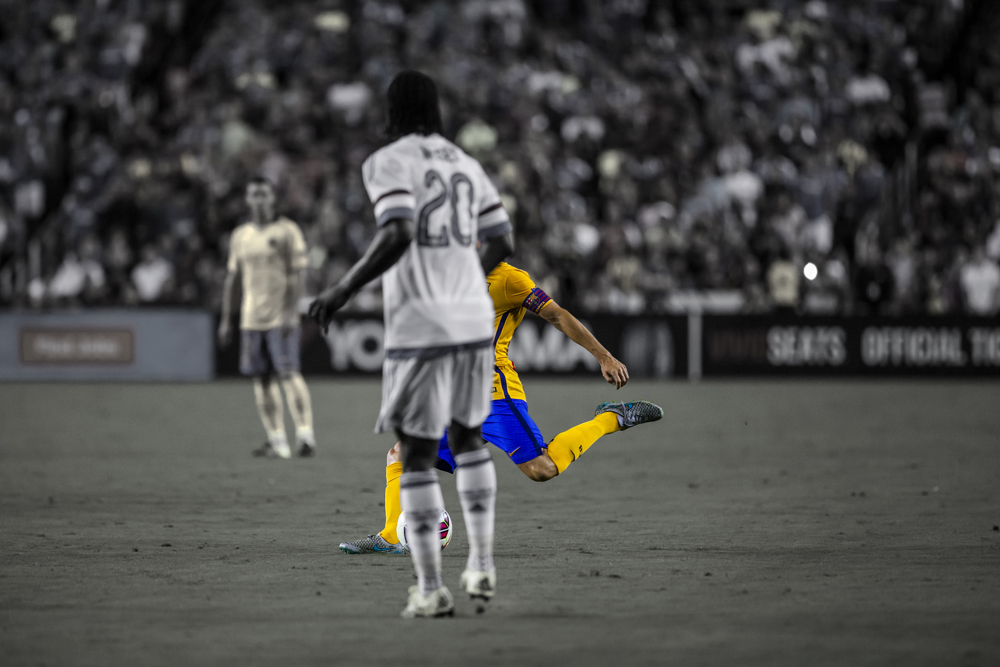 Canon EF 300mm F2.8L IS II USM sample photo. Don andres photography