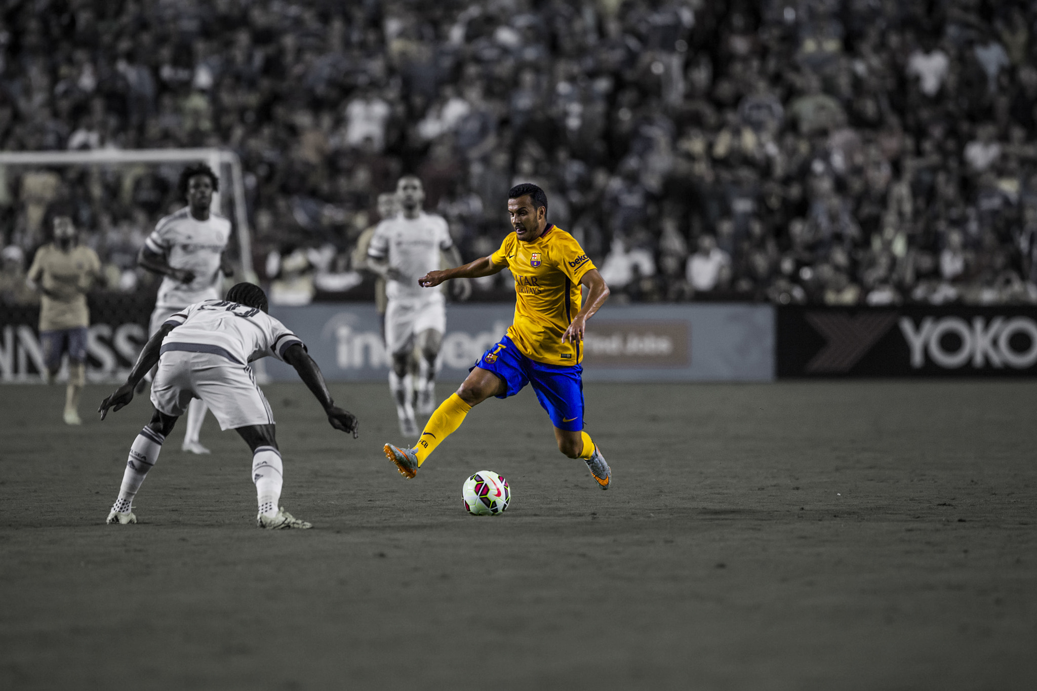 Canon EF 300mm F2.8L IS II USM sample photo. Pedro photography