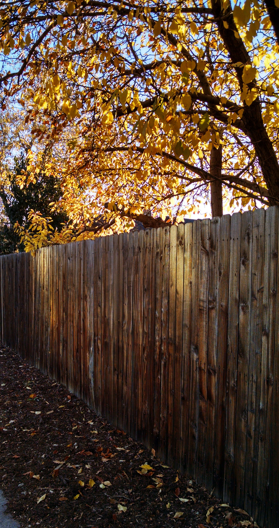 Motorola Droid Mini sample photo. Fall fence photography