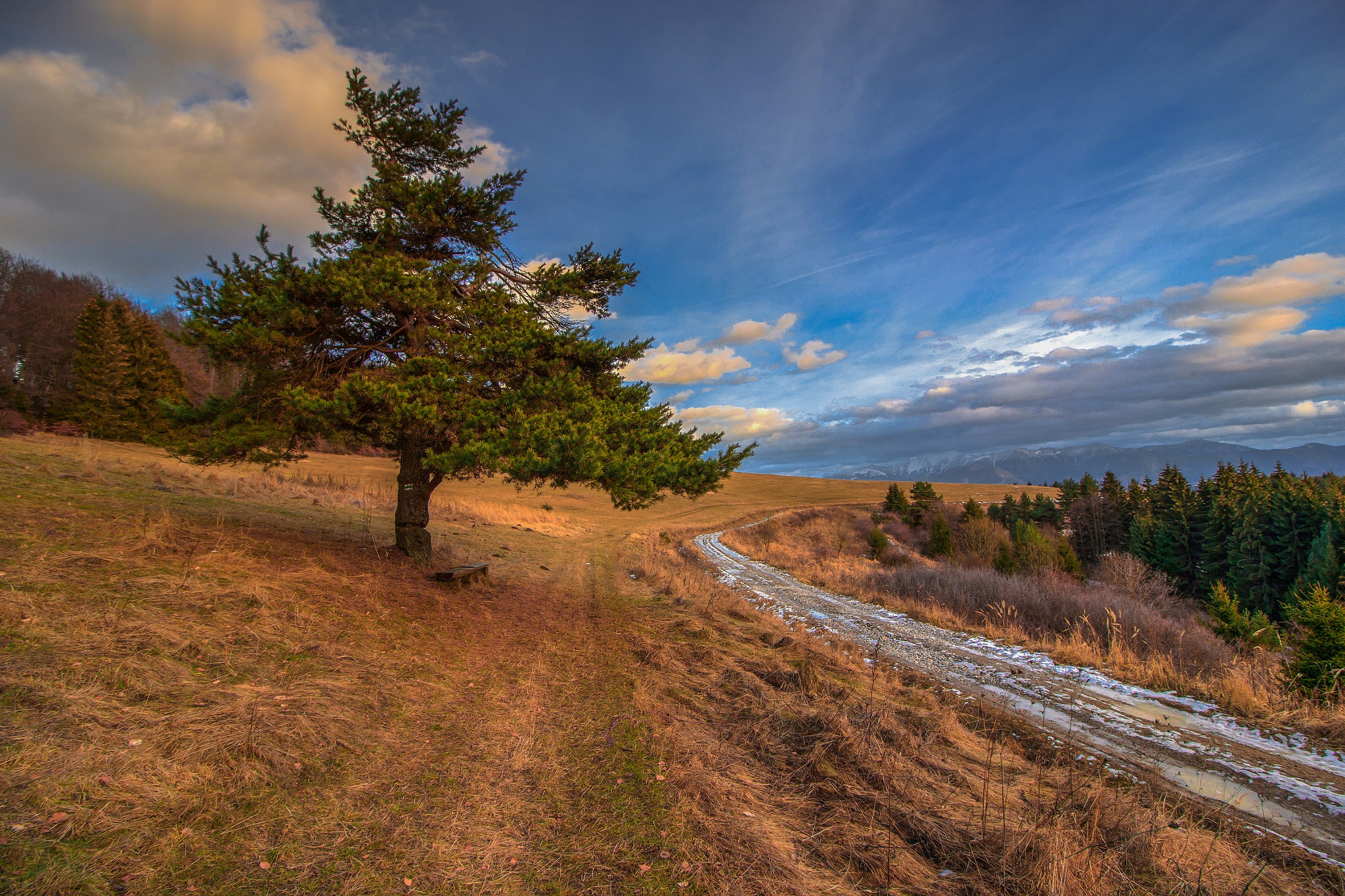 Canon EF-S 10-18mm F4.5–5.6 IS STM sample photo. The way to heaven photography