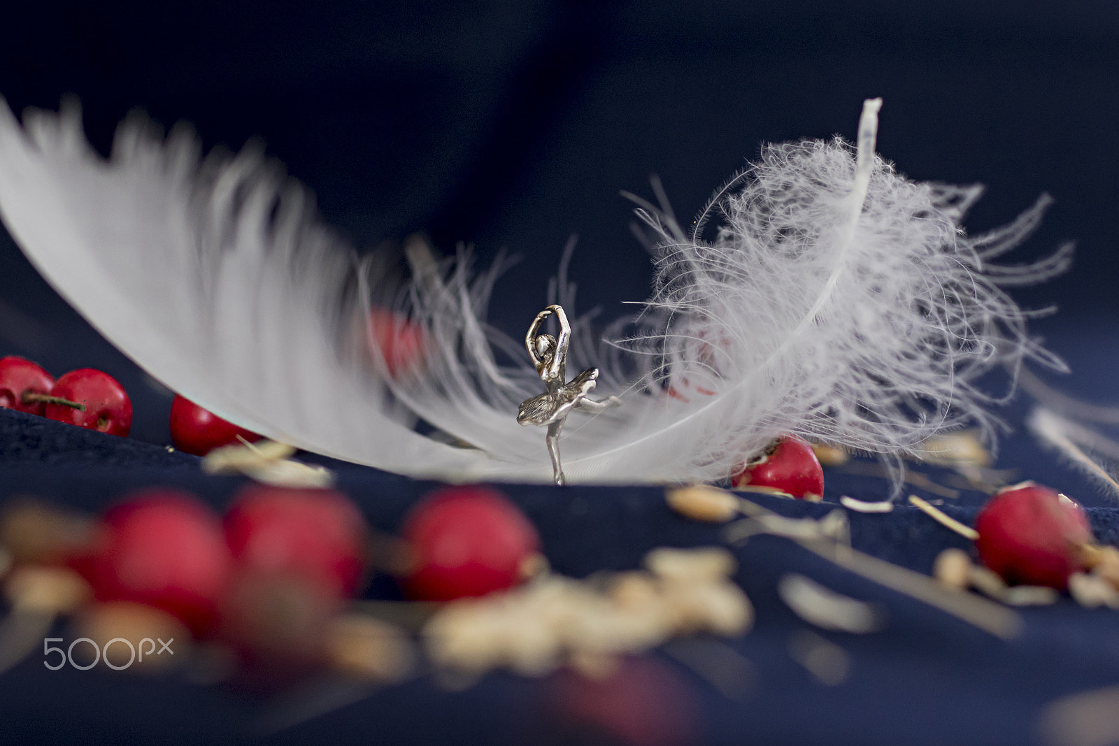 Canon EF 35mm F1.4L USM sample photo. Ballerina on the swan feather photography