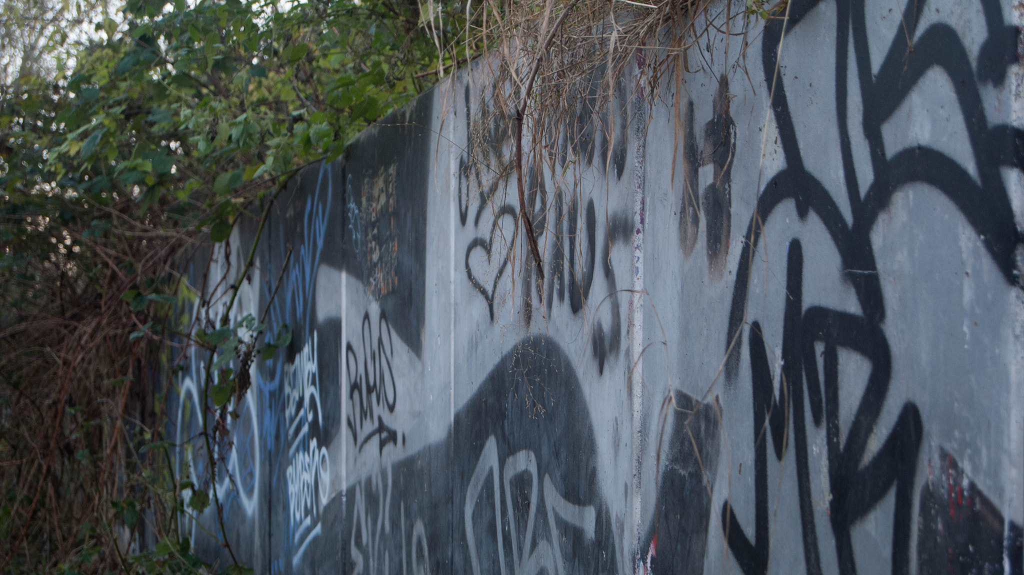 Sony Alpha DSLR-A200 + Sony DT 18-55mm F3.5-5.6 SAM sample photo. A "berlin wall" photography