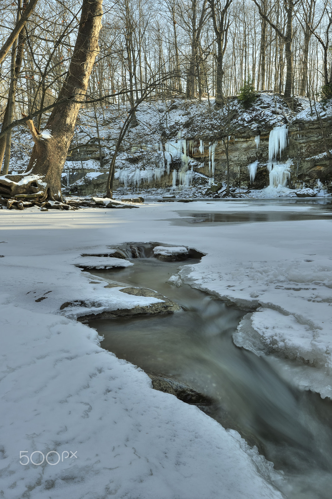 Nikon D3X sample photo. Tinker's creek frozen photography