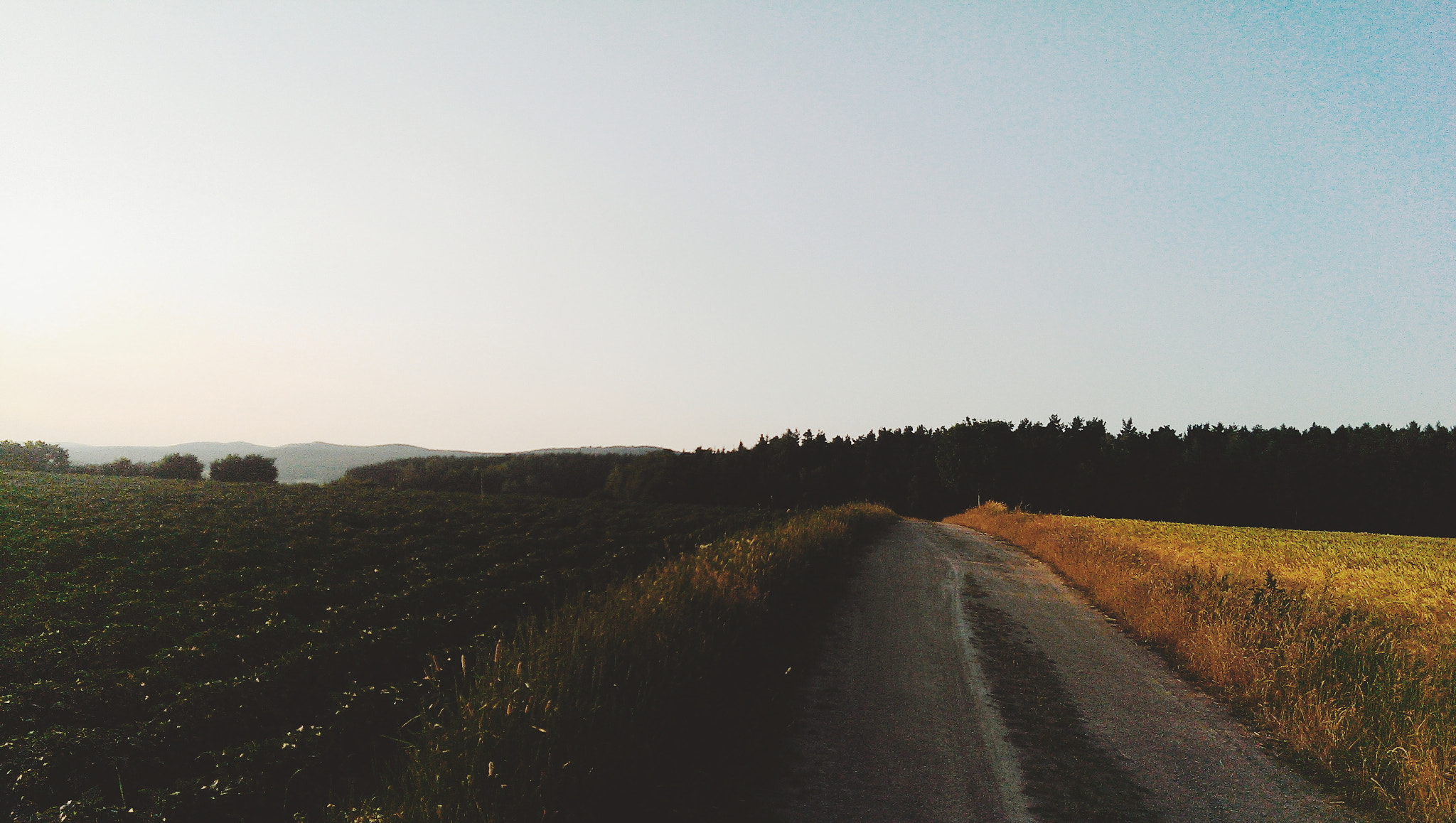 HTC ONE MINI sample photo. Processed with vscocam with f3 preset photography
