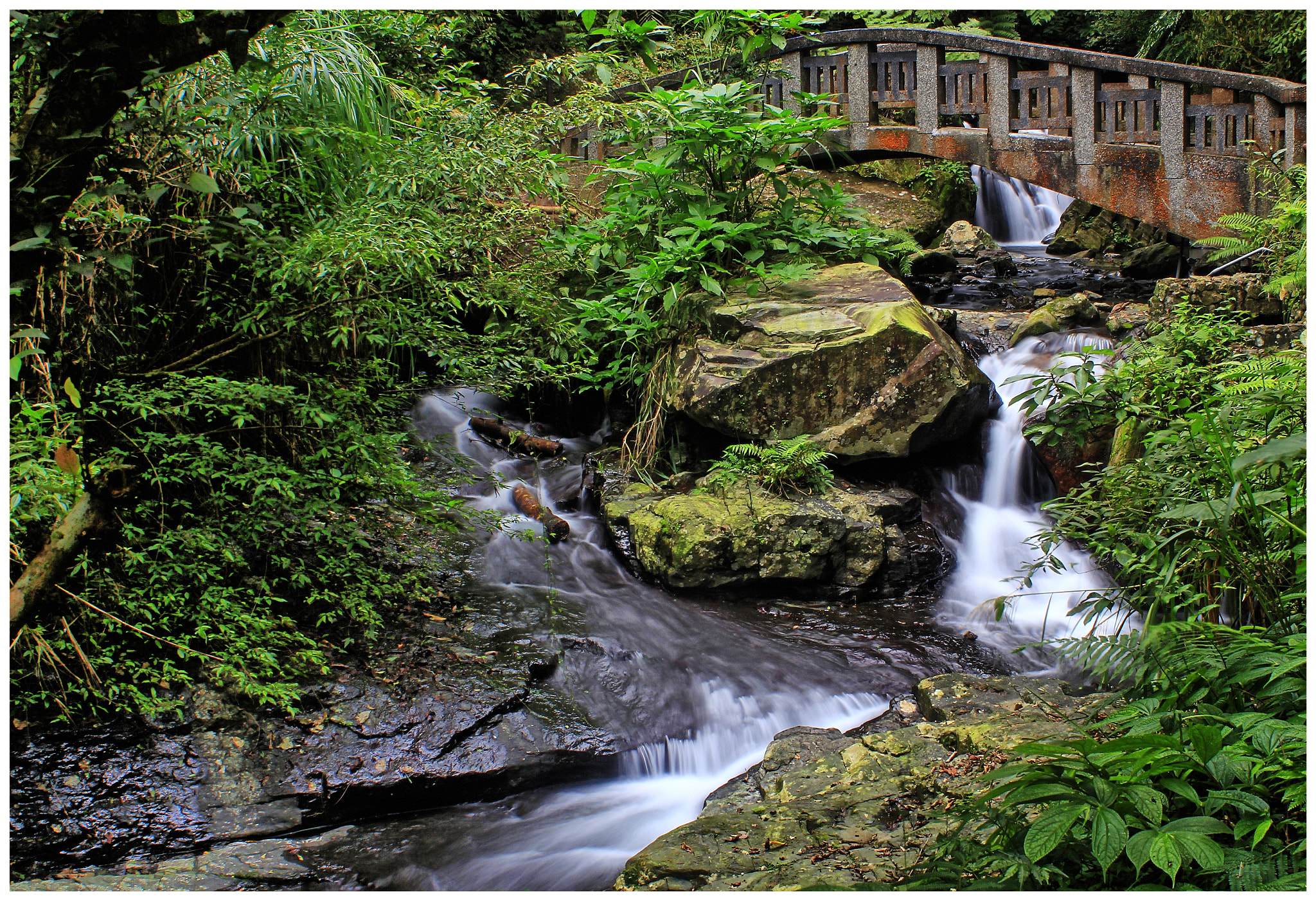Canon EF 28-80mm f/3.5-5.6 sample photo. River in the forest photography