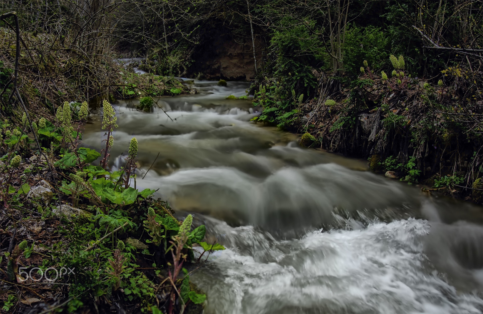 Nikon AF Nikkor 24-85mm F2.8-4D IF sample photo. Sülüklü göl deresi photography
