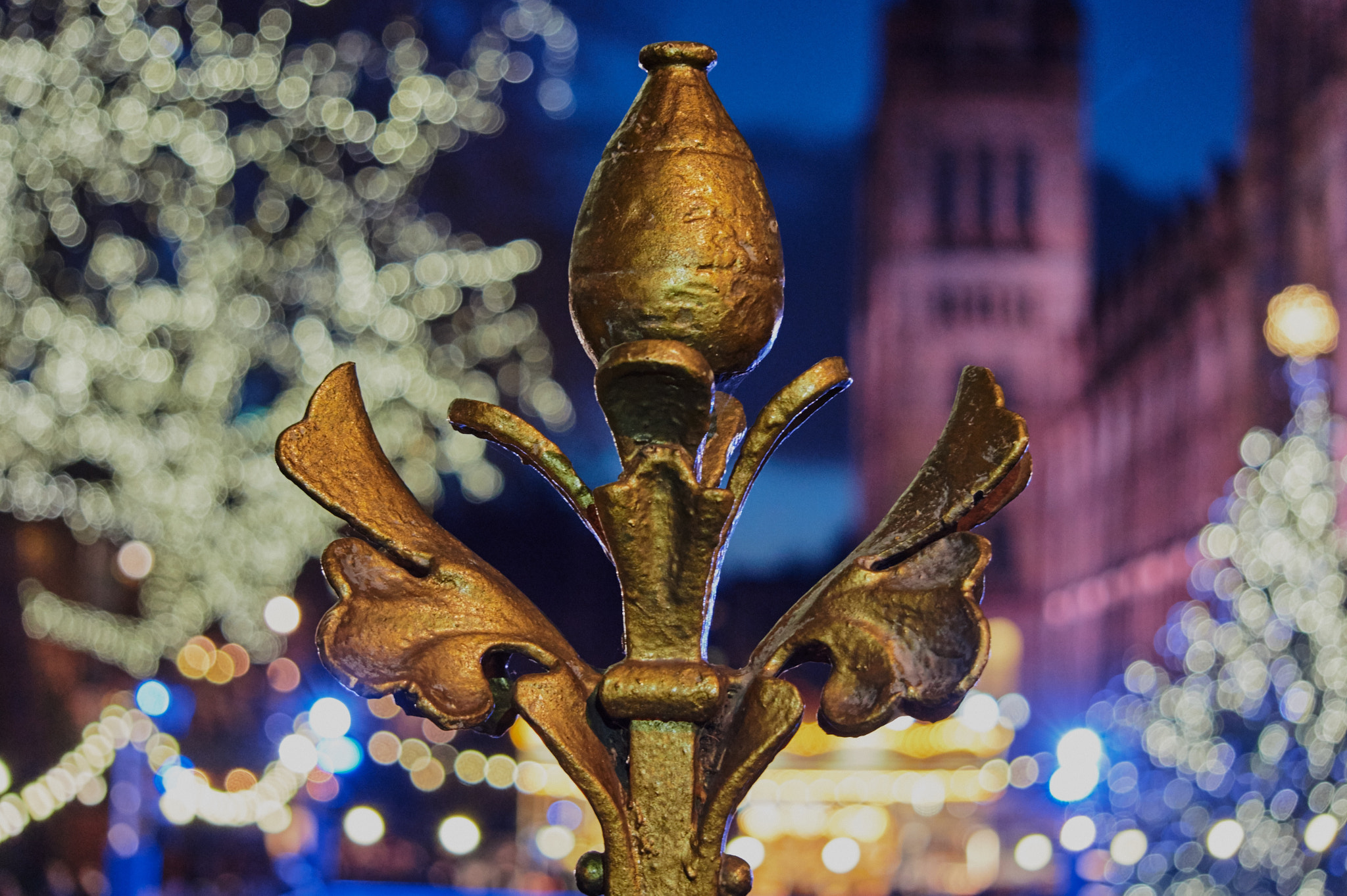 Sony Alpha NEX-5 + Sony E 55-210mm F4.5-6.3 OSS sample photo. Natural history museum photography